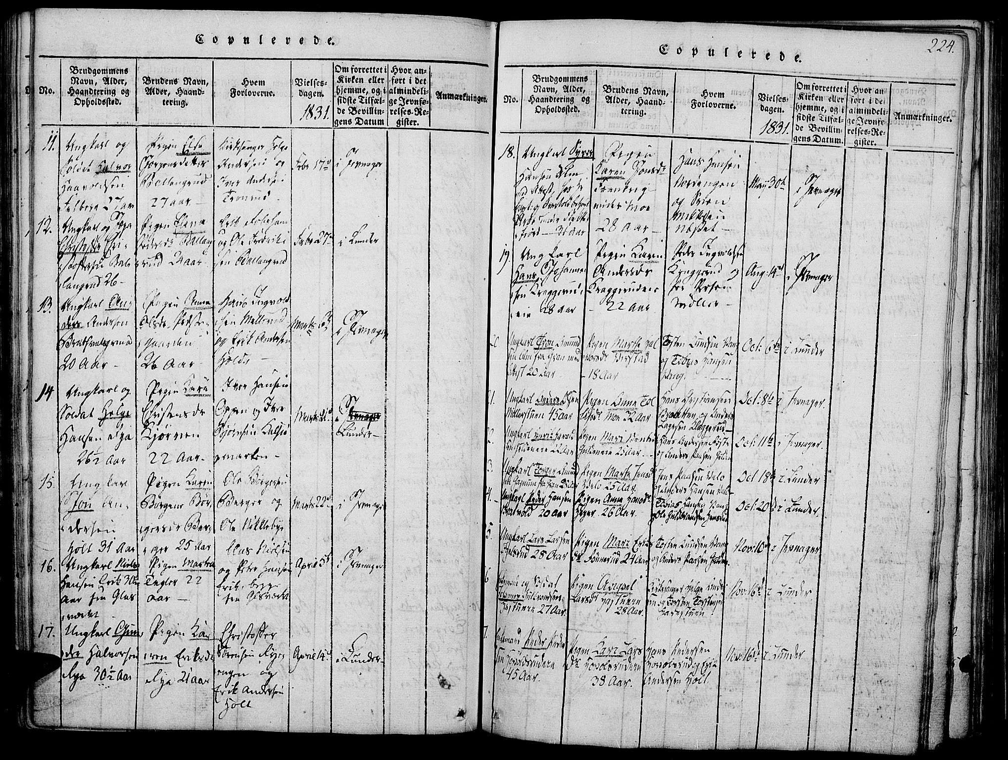 Jevnaker prestekontor, SAH/PREST-116/H/Ha/Haa/L0005: Parish register (official) no. 5, 1815-1837, p. 224