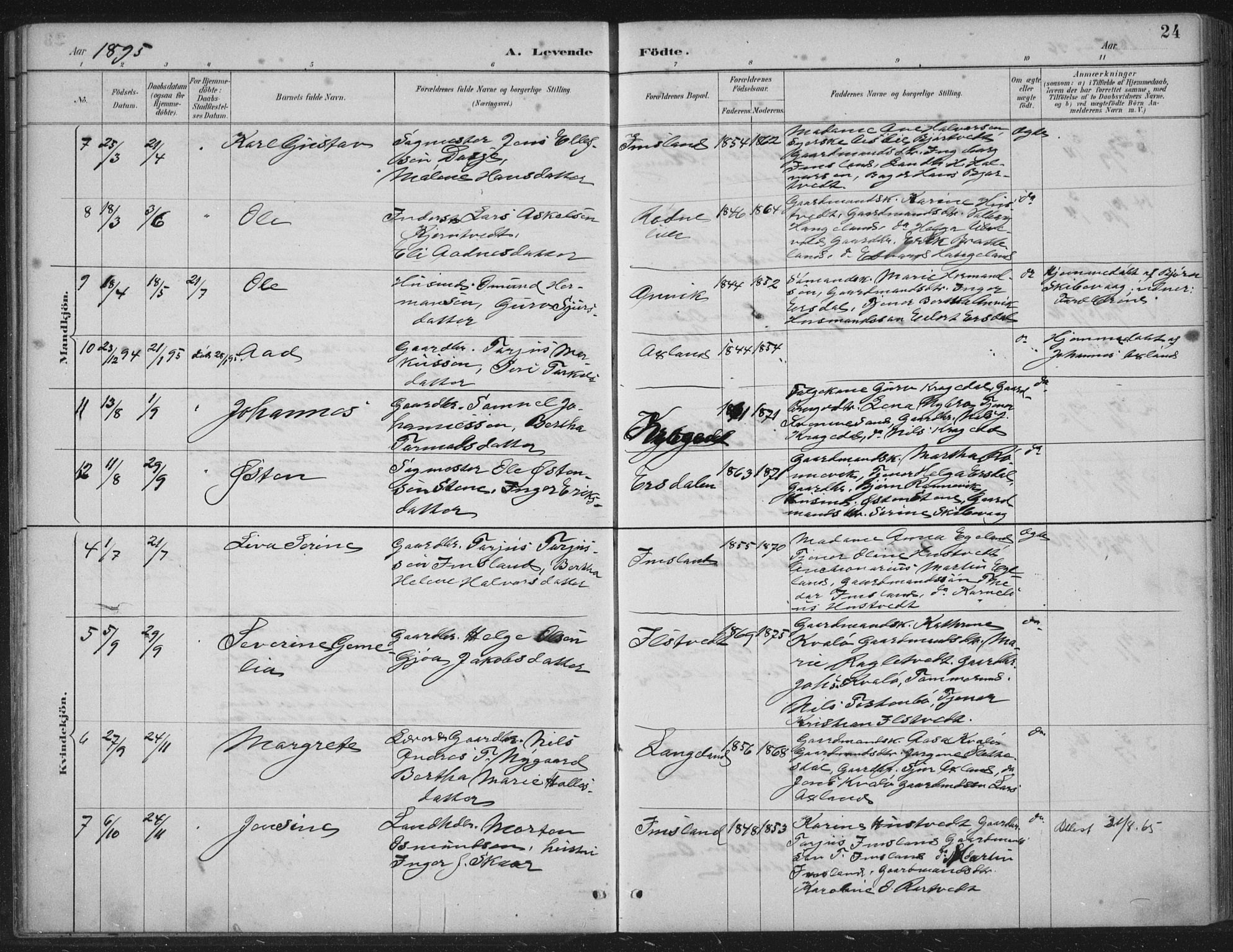 Vikedal sokneprestkontor, AV/SAST-A-101840/01/IV: Parish register (official) no. A 12, 1886-1929, p. 24