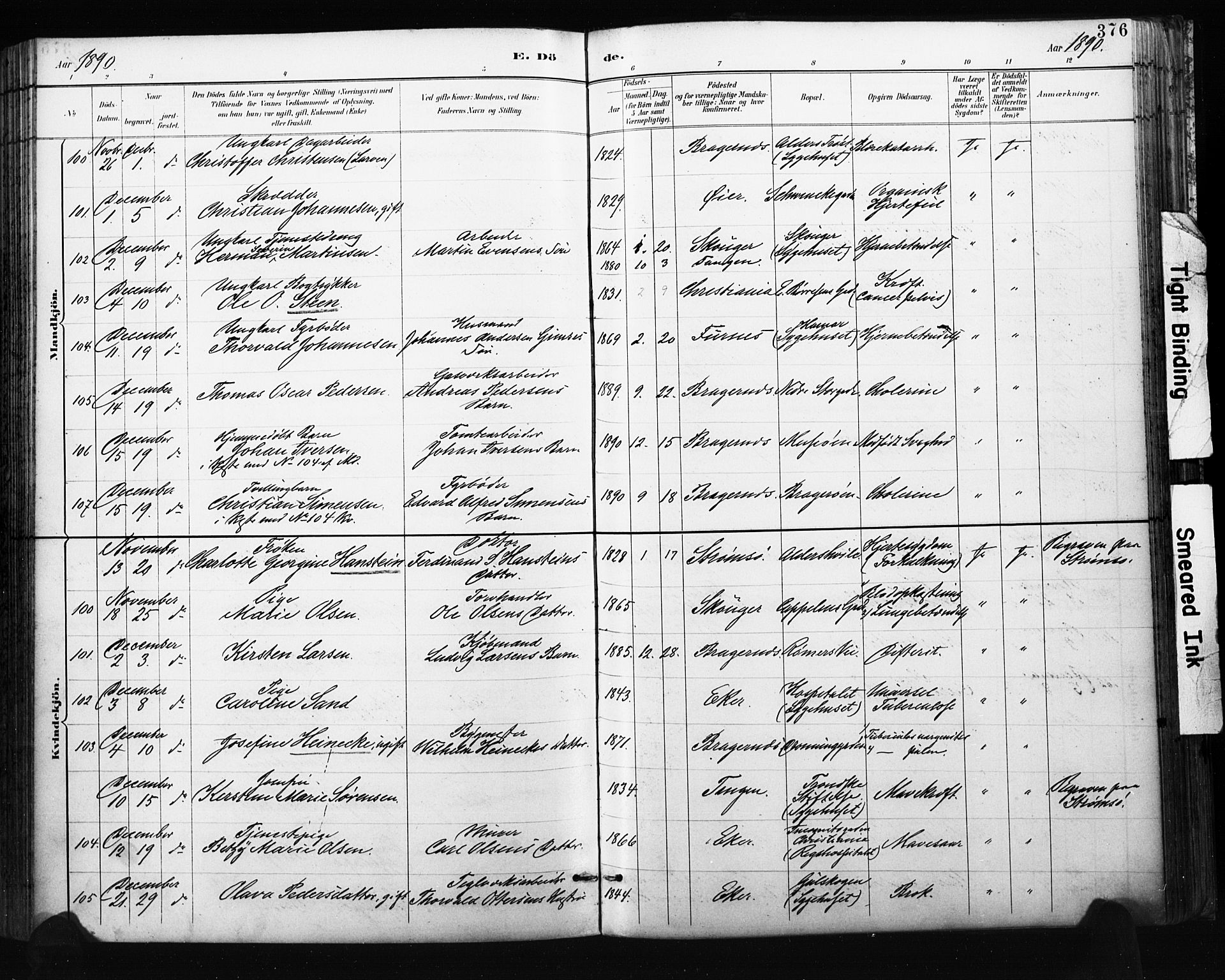 Bragernes kirkebøker, SAKO/A-6/F/Fb/L0007: Parish register (official) no. II 7, 1885-1893, p. 376