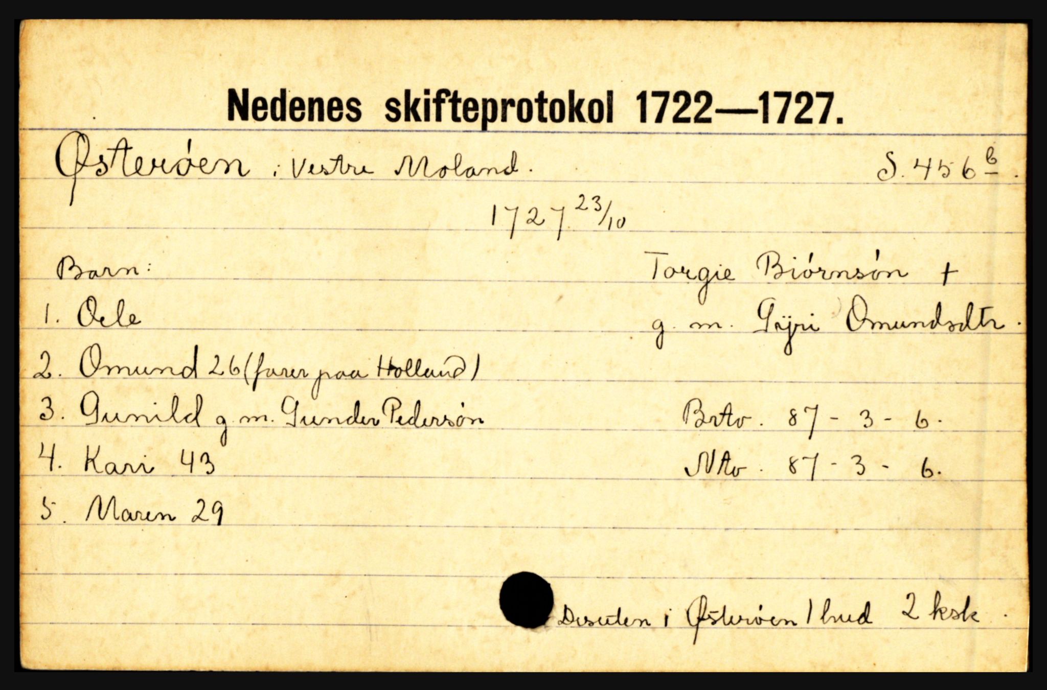 Nedenes sorenskriveri før 1824, AV/SAK-1221-0007/H, p. 34099