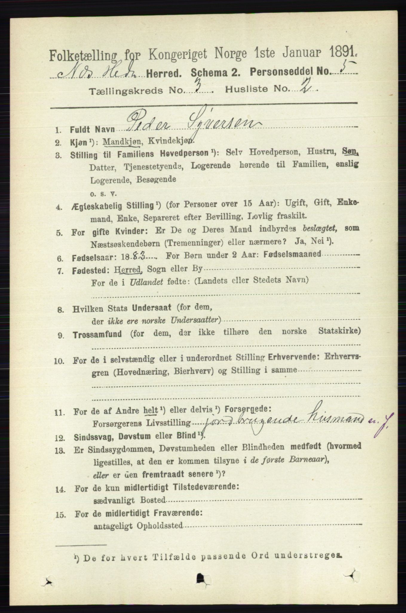 RA, 1891 census for 0411 Nes, 1891, p. 1604