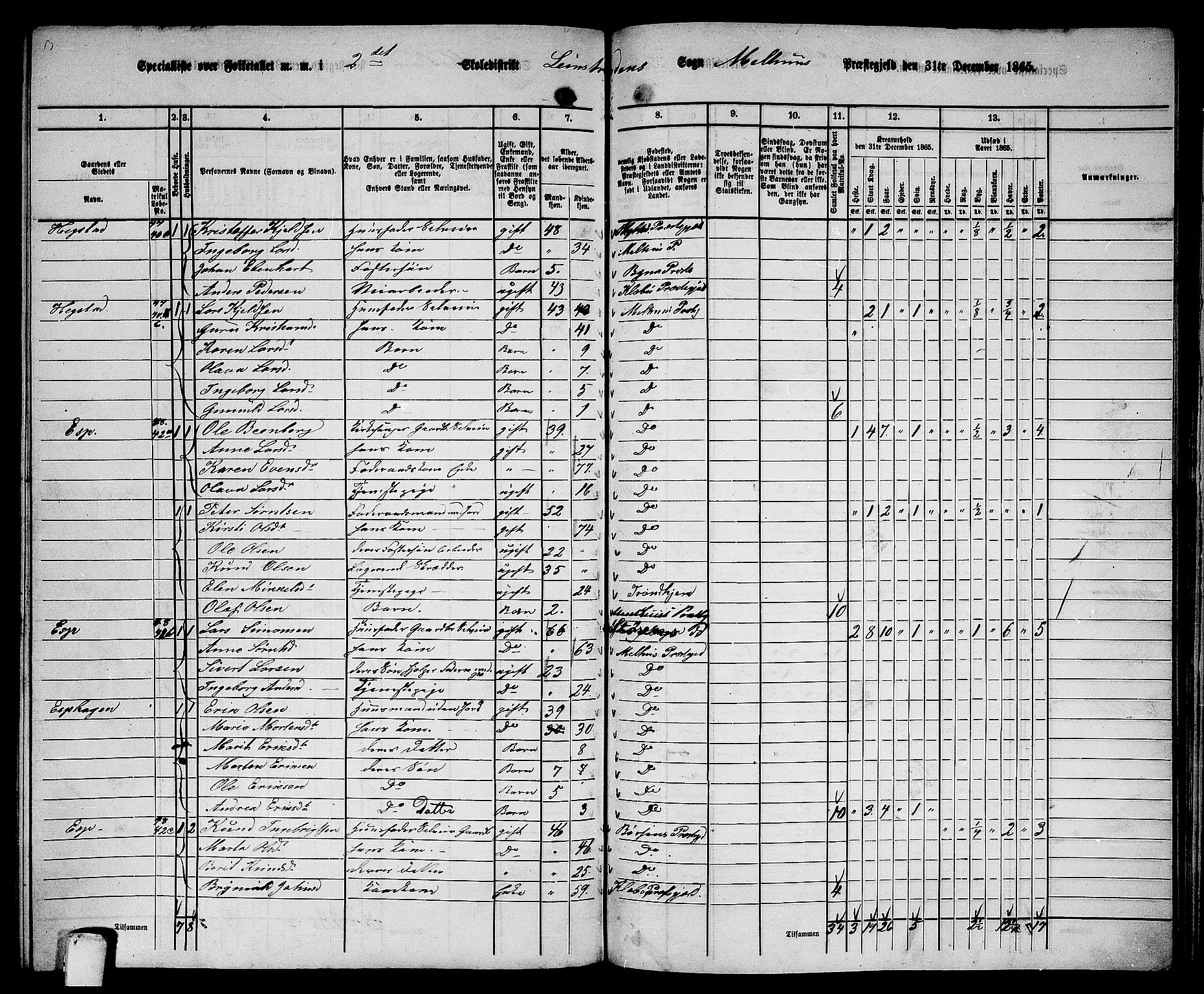 RA, 1865 census for Melhus, 1865, p. 219