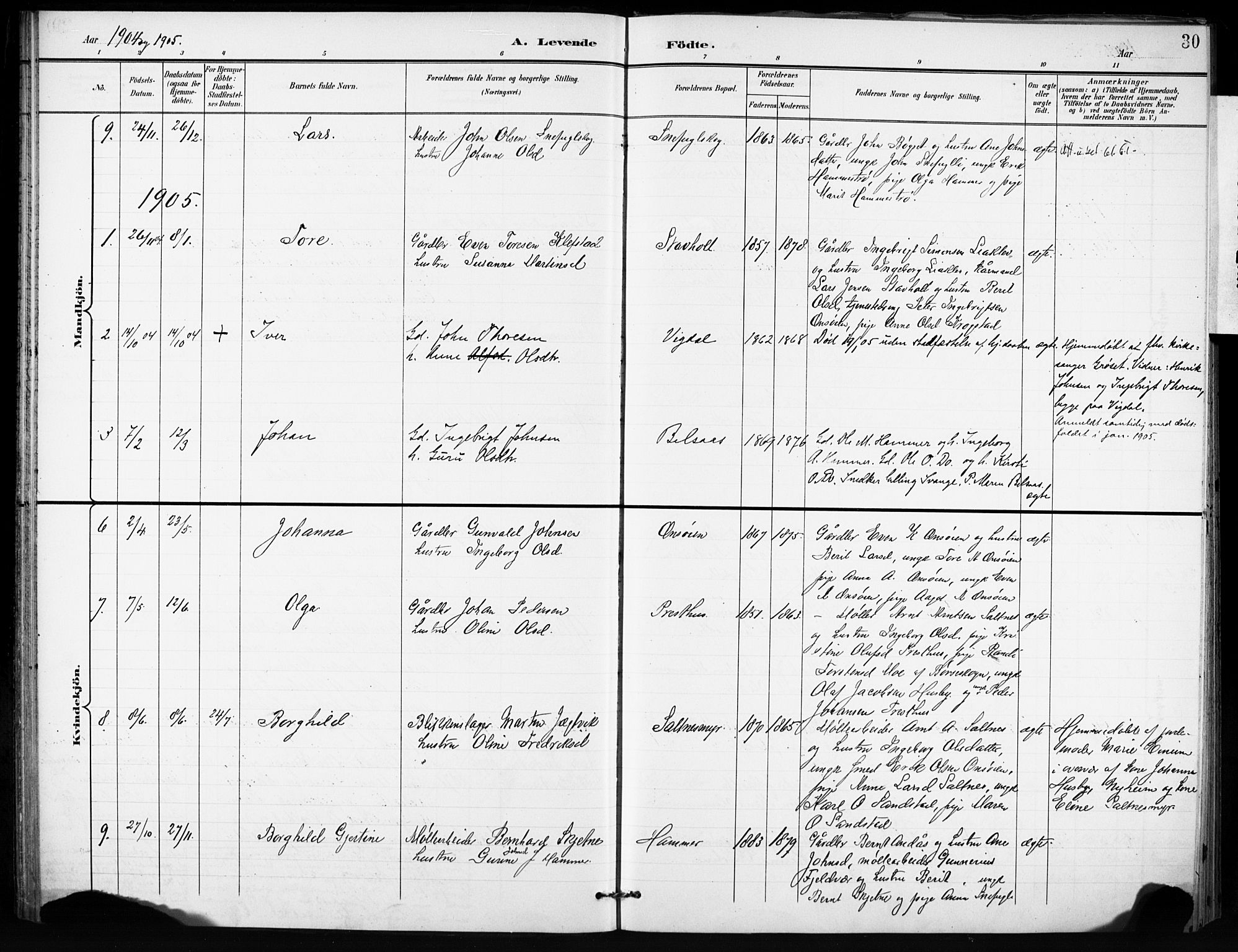 Ministerialprotokoller, klokkerbøker og fødselsregistre - Sør-Trøndelag, AV/SAT-A-1456/666/L0787: Parish register (official) no. 666A05, 1895-1908, p. 30