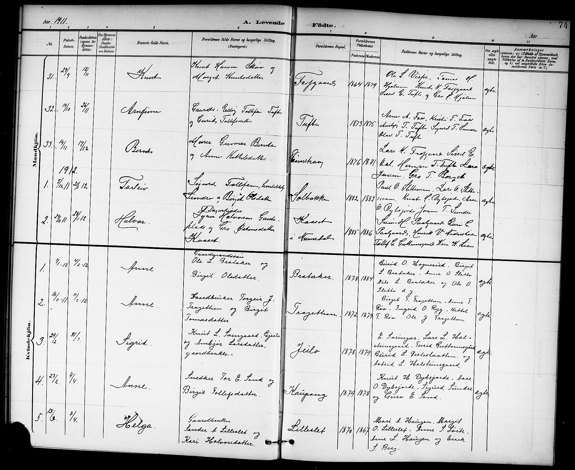 Hol kirkebøker, AV/SAKO-A-227/G/Ga/L0001: Parish register (copy) no. I 1, 1900-1919, p. 74