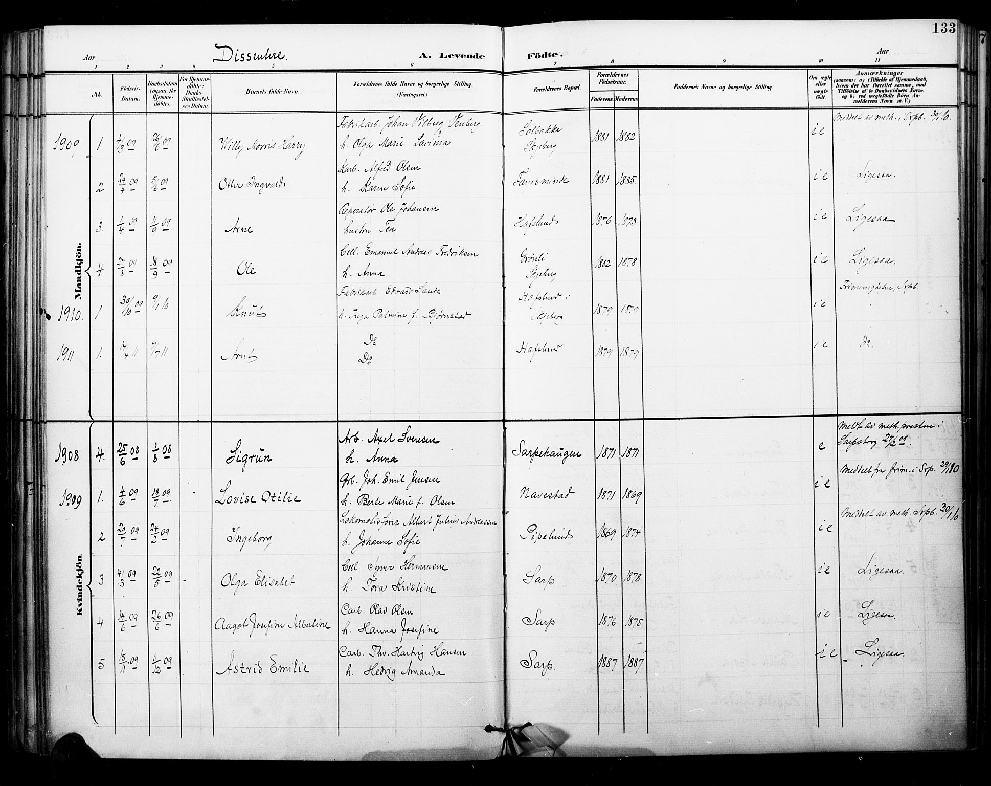 Skjeberg prestekontor Kirkebøker, SAO/A-10923/F/Fa/L0010: Parish register (official) no. I 10, 1898-1911, p. 133