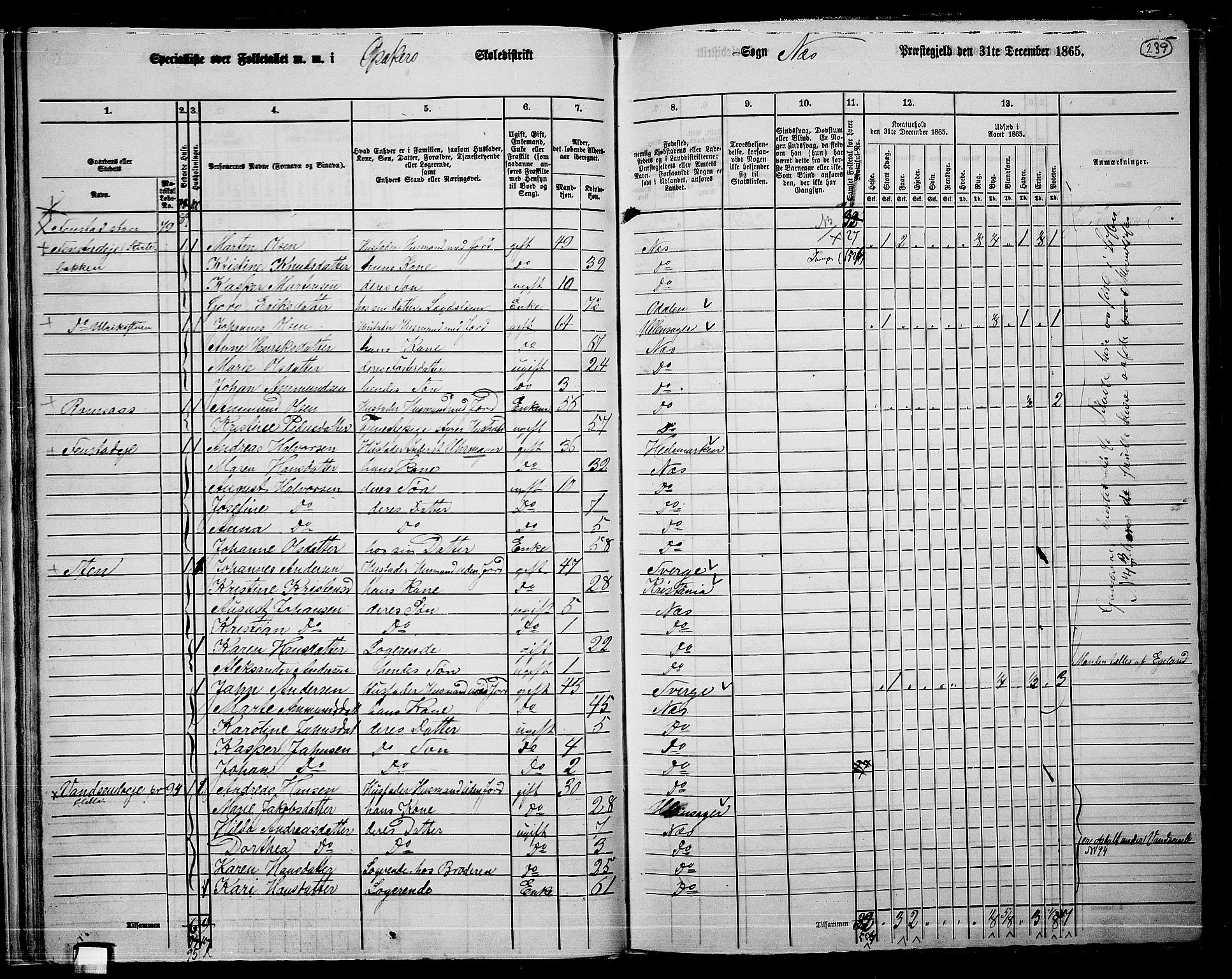 RA, 1865 census for Nes, 1865, p. 222