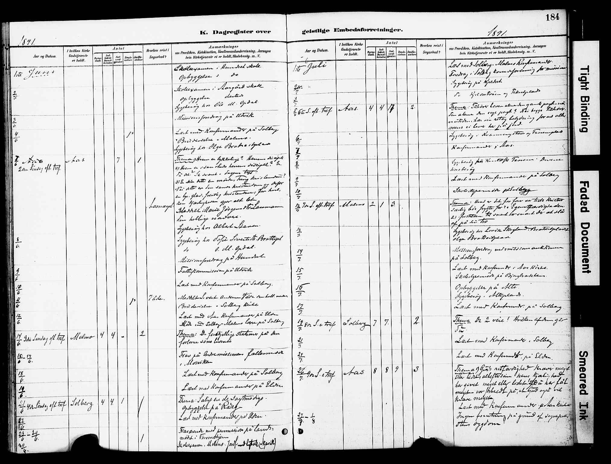 Ministerialprotokoller, klokkerbøker og fødselsregistre - Nord-Trøndelag, AV/SAT-A-1458/741/L0396: Parish register (official) no. 741A10, 1889-1901, p. 184