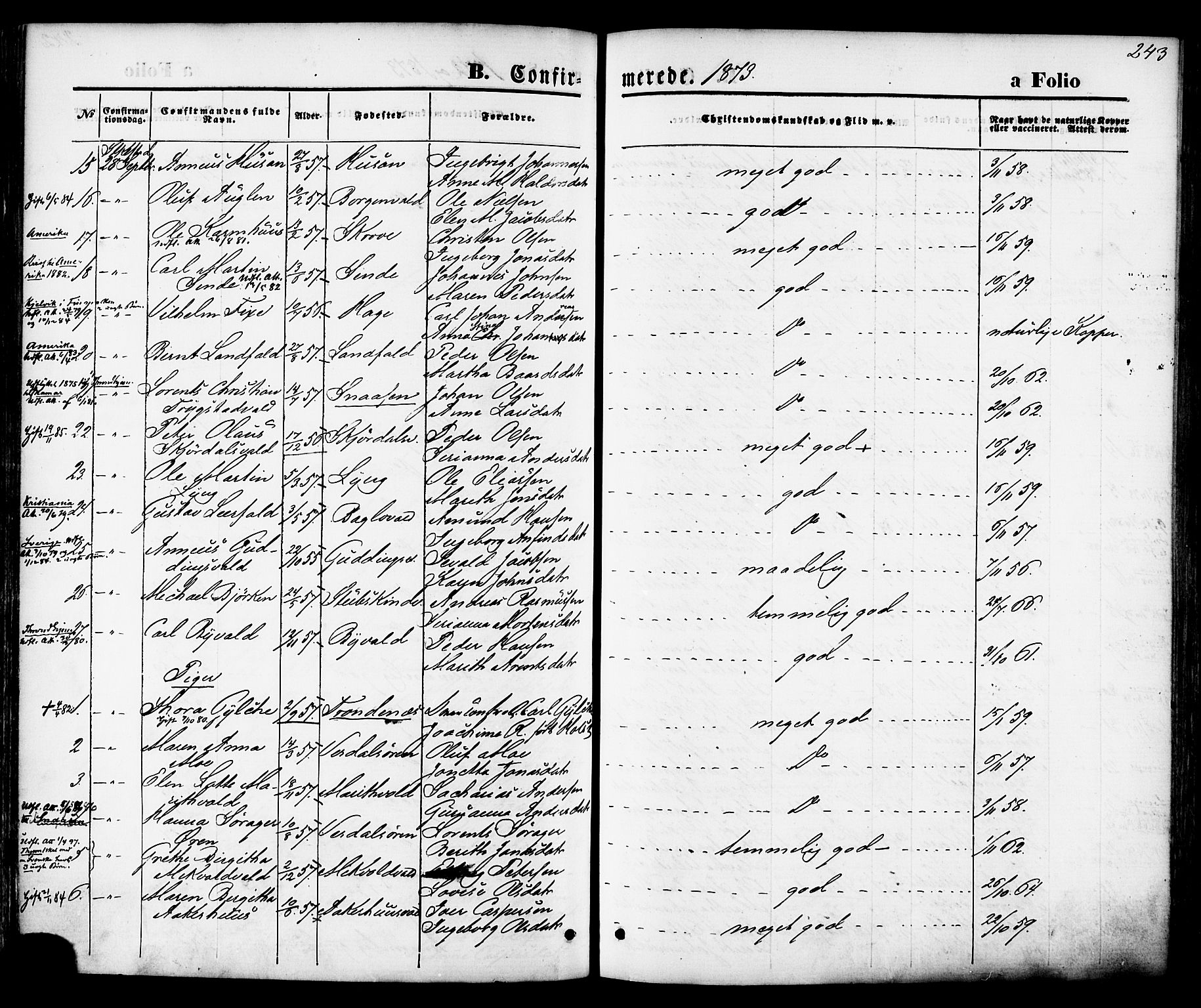 Ministerialprotokoller, klokkerbøker og fødselsregistre - Nord-Trøndelag, AV/SAT-A-1458/723/L0242: Parish register (official) no. 723A11, 1870-1880, p. 243