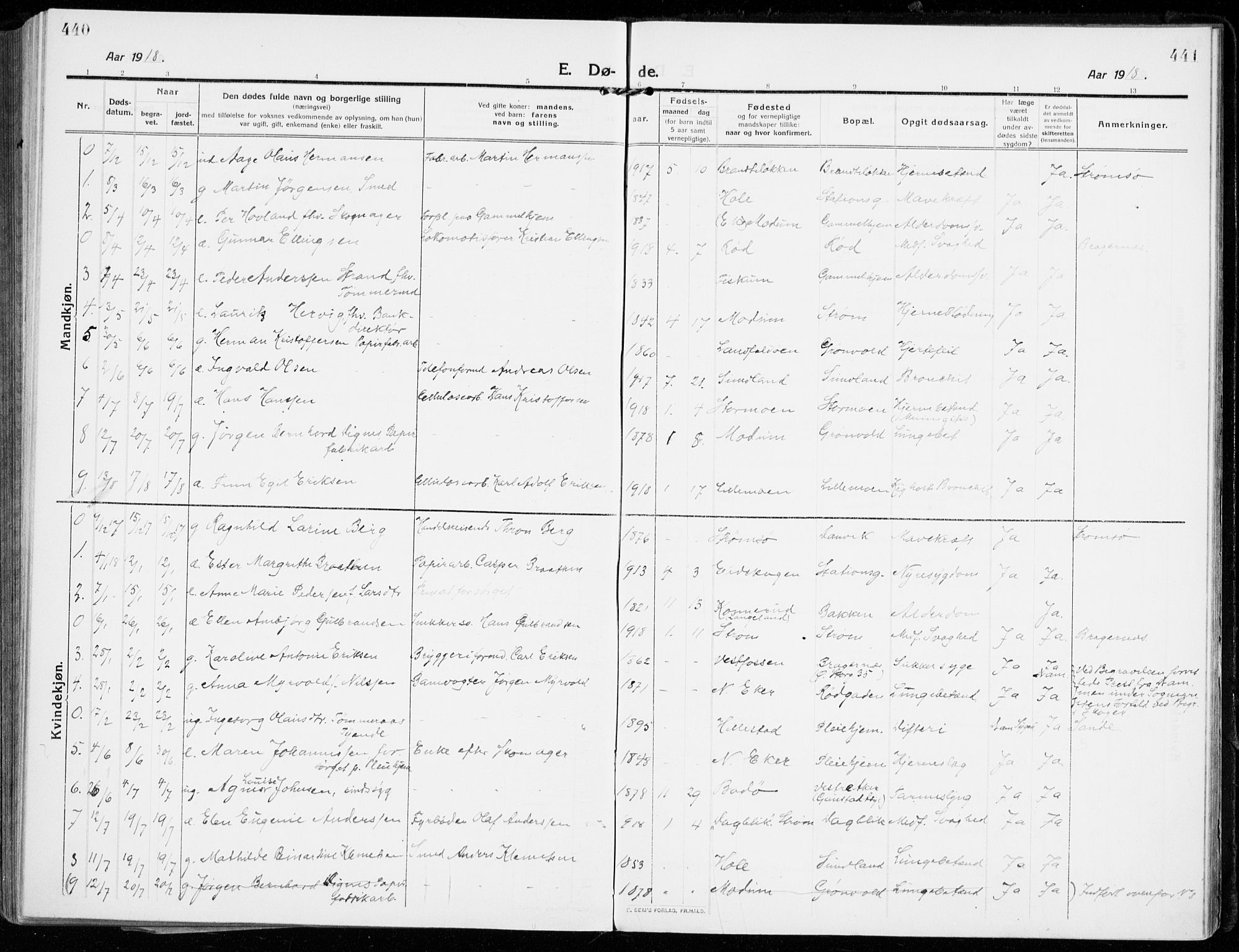 Strømsgodset kirkebøker, SAKO/A-324/F/Fa/L0002: Parish register (official) no. 2, 1910-1920, p. 440-441