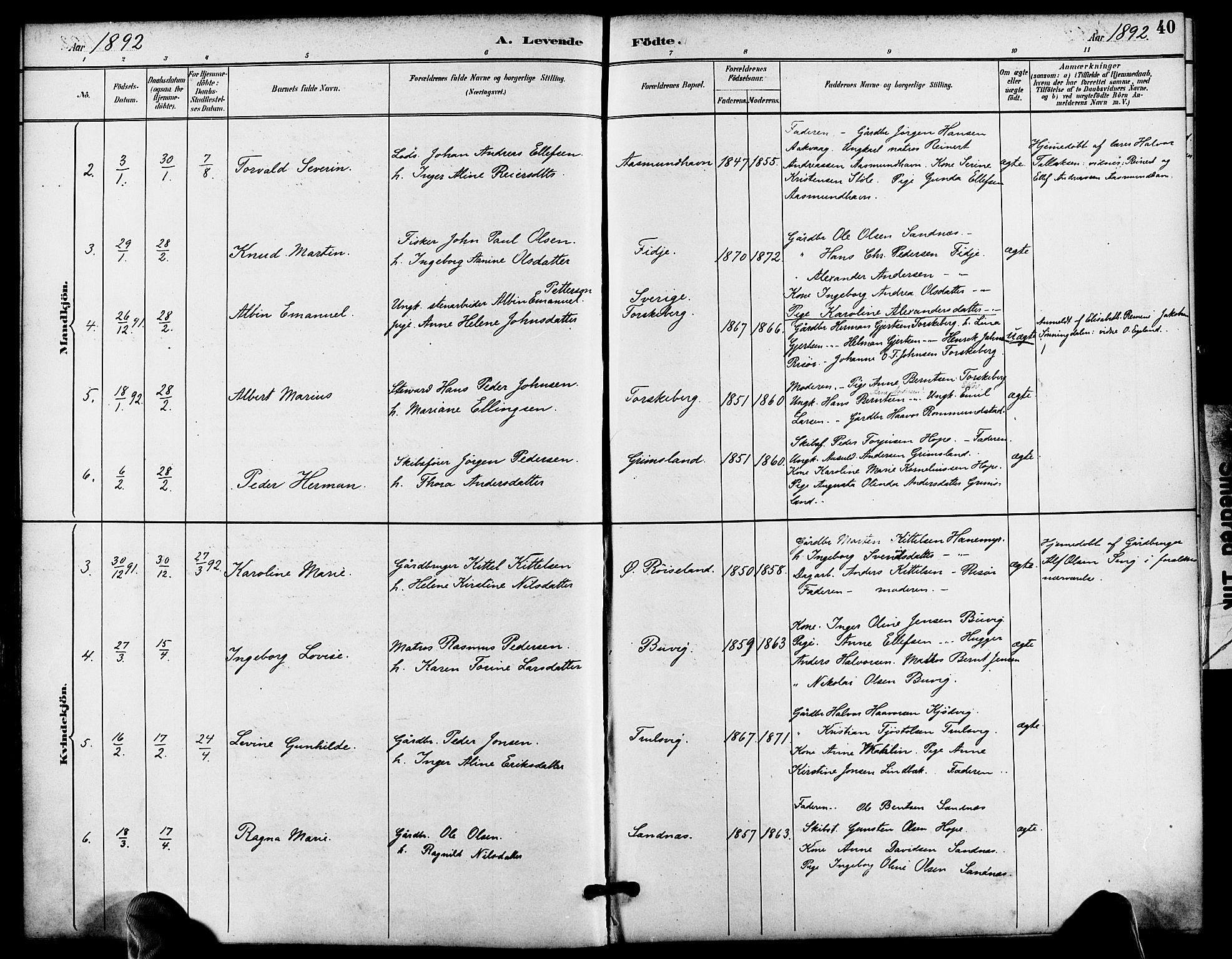 Søndeled sokneprestkontor, AV/SAK-1111-0038/F/Fa/L0005: Parish register (official) no. A 5, 1889-1899, p. 40