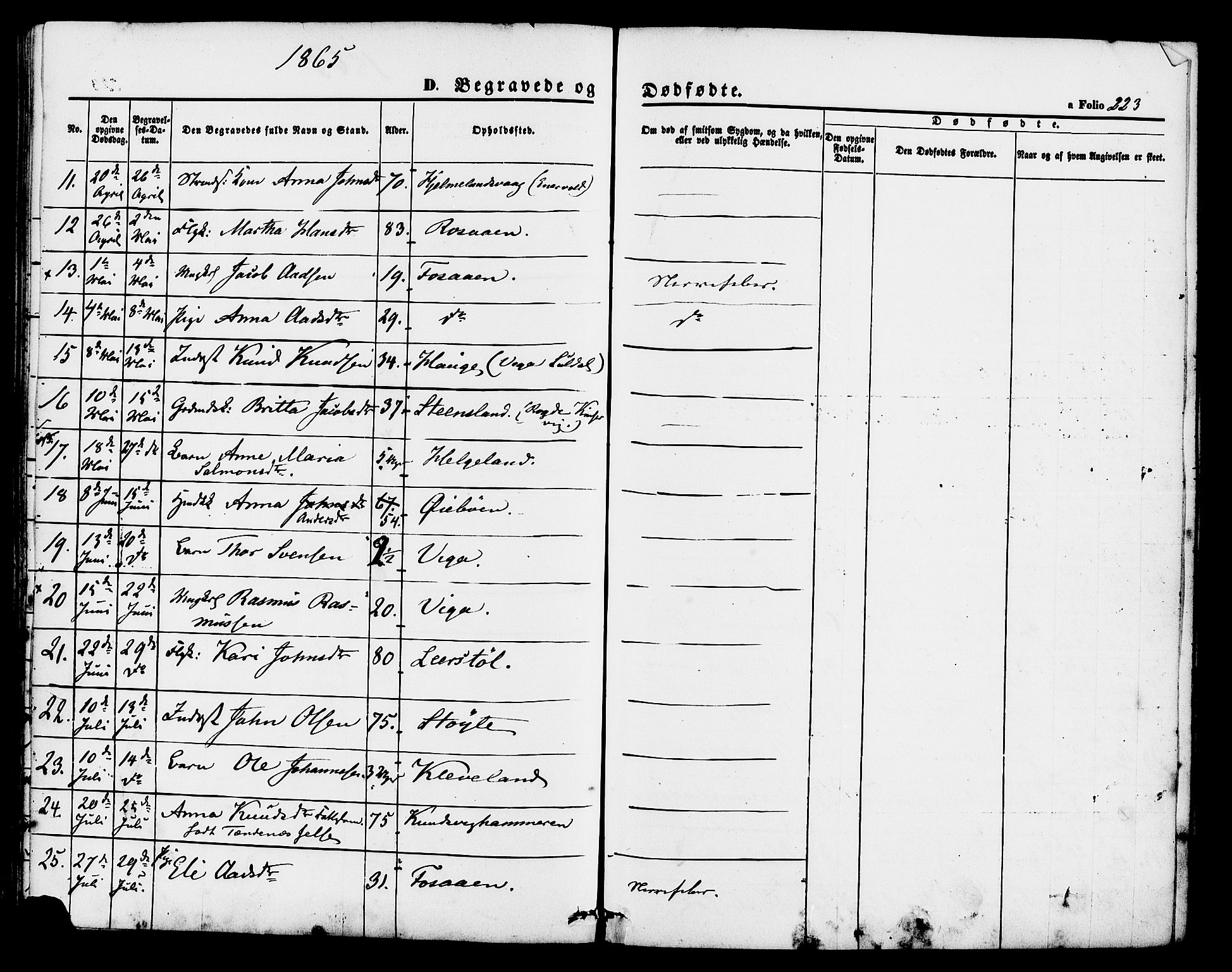 Hjelmeland sokneprestkontor, AV/SAST-A-101843/01/IV/L0011: Parish register (official) no. A 11, 1861-1878, p. 223