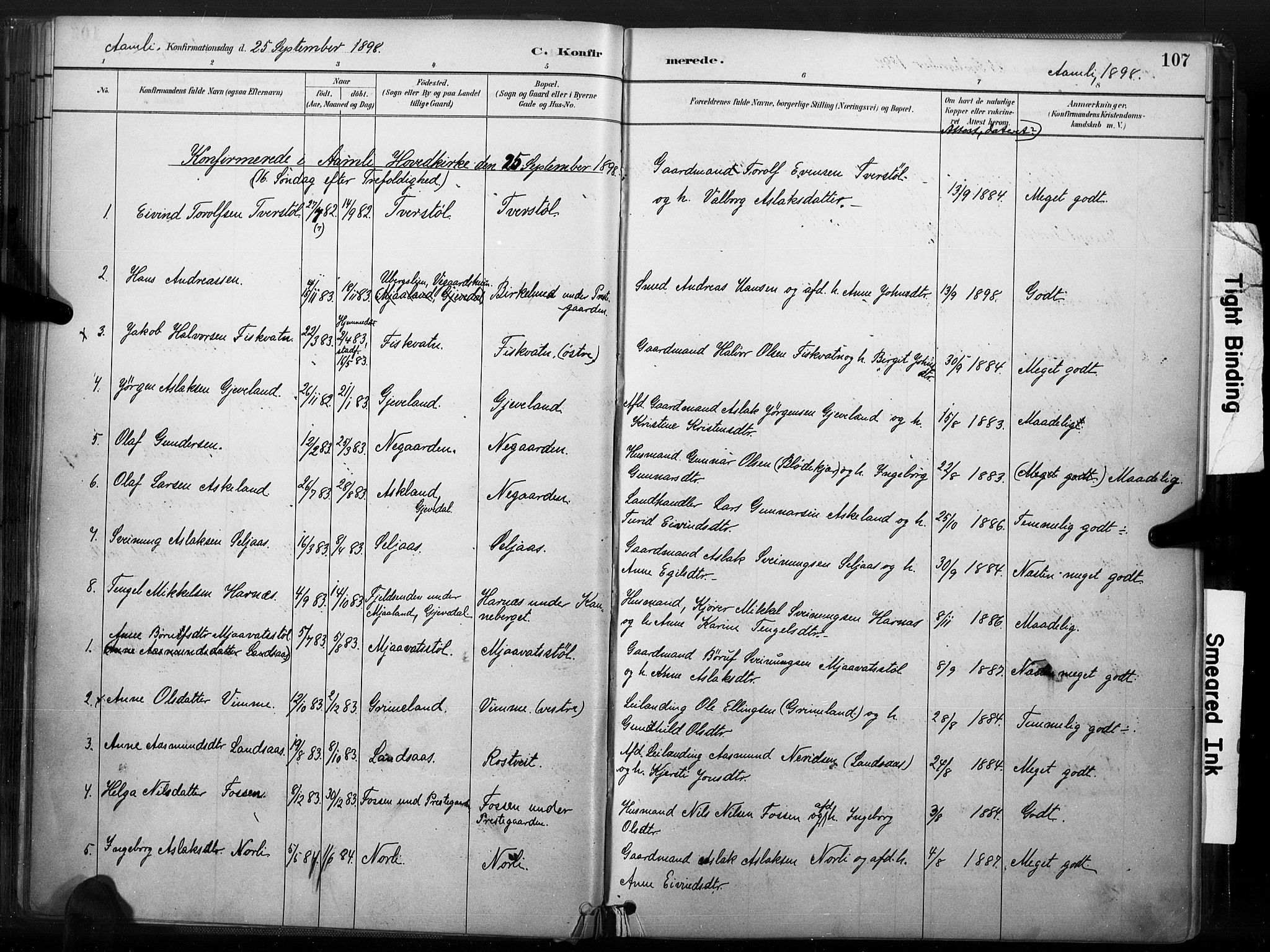 Åmli sokneprestkontor, AV/SAK-1111-0050/F/Fa/Fac/L0010: Parish register (official) no. A 10 /1, 1885-1899, p. 107