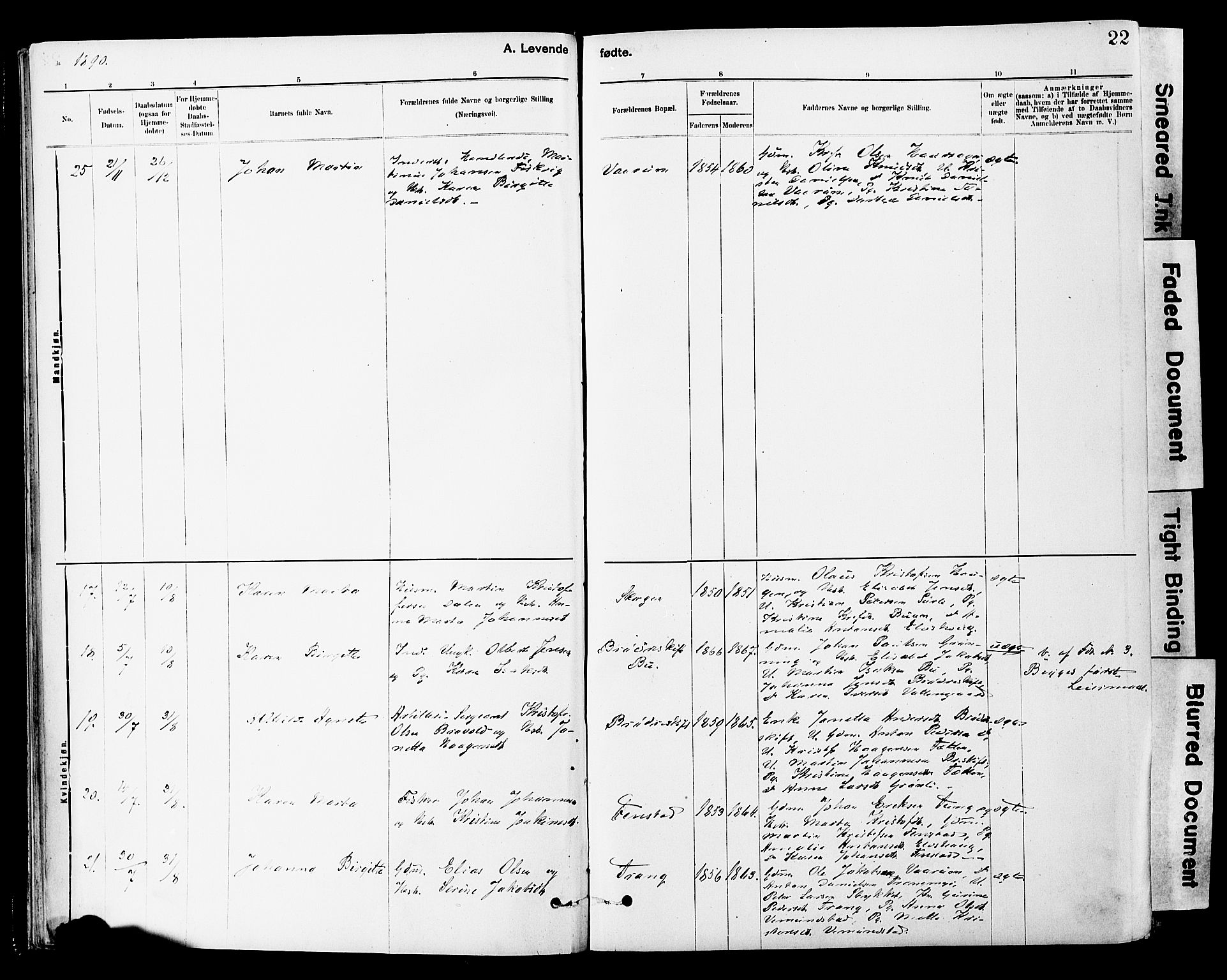 Ministerialprotokoller, klokkerbøker og fødselsregistre - Sør-Trøndelag, AV/SAT-A-1456/646/L0615: Parish register (official) no. 646A13, 1885-1900, p. 22