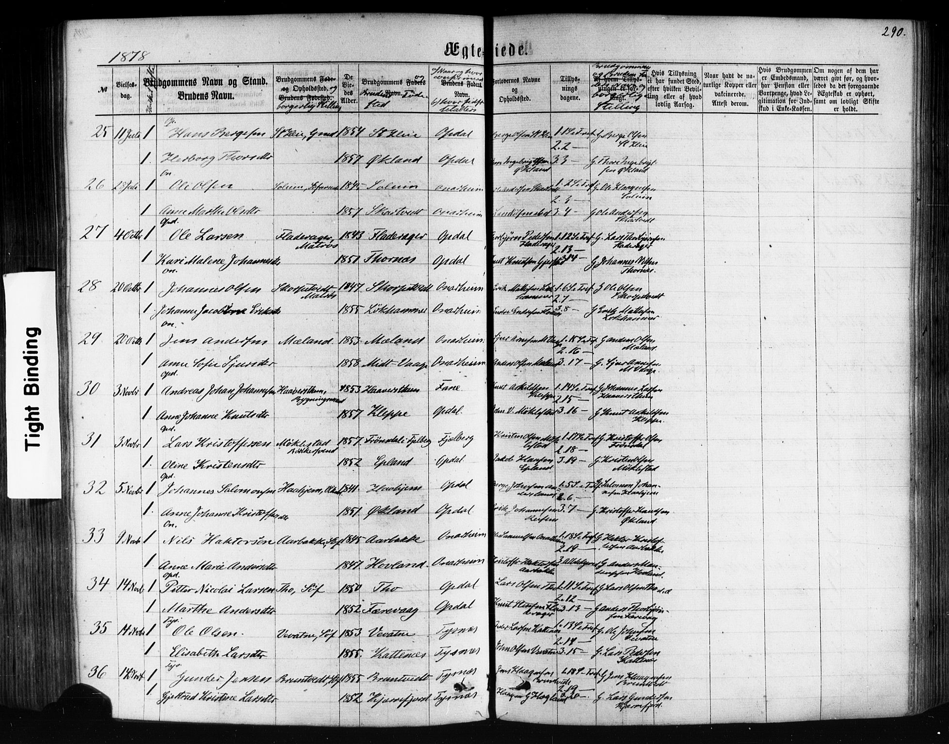 Tysnes sokneprestembete, AV/SAB-A-78601/H/Haa: Parish register (official) no. A 12, 1872-1886, p. 290