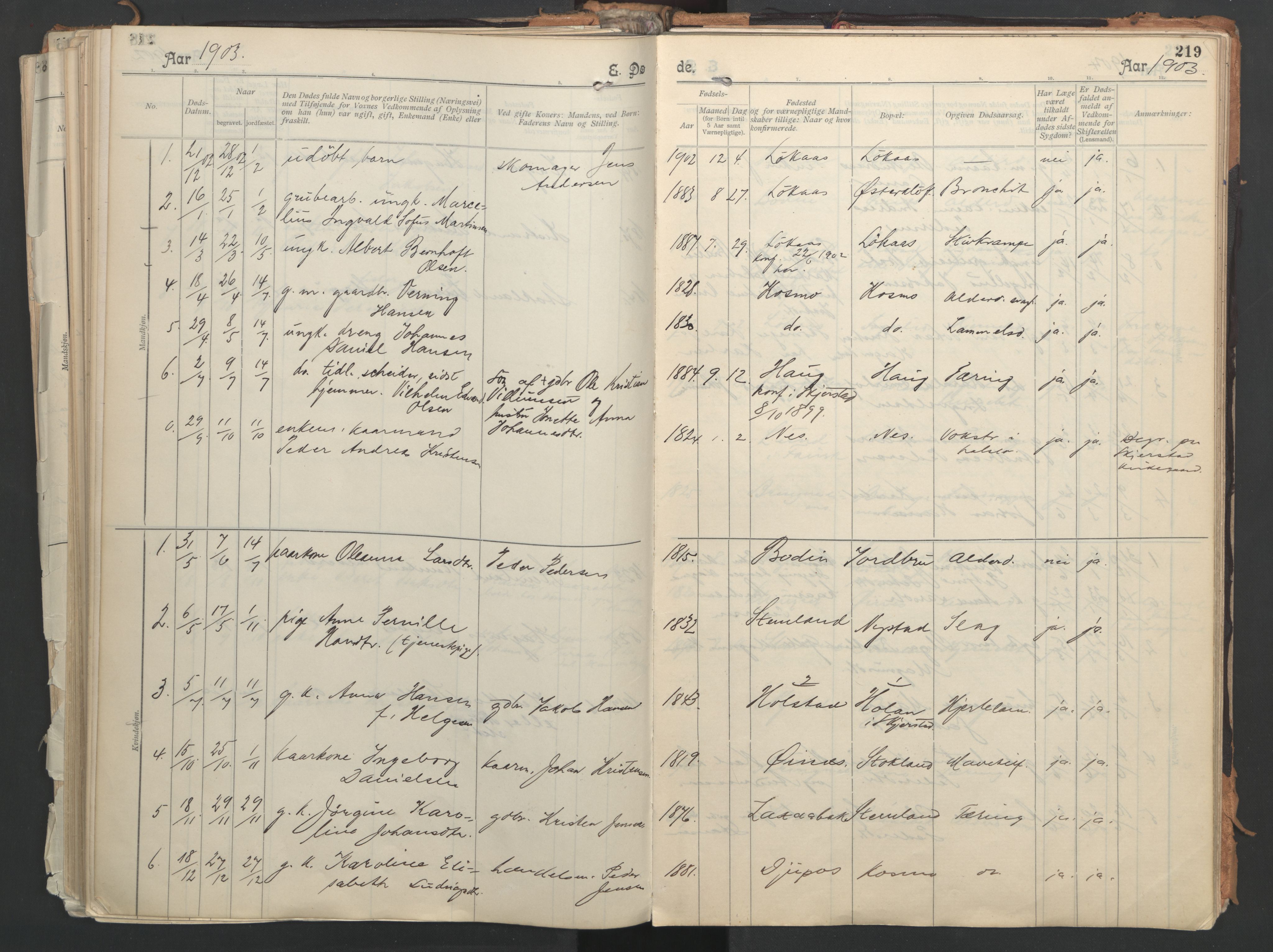 Ministerialprotokoller, klokkerbøker og fødselsregistre - Nordland, AV/SAT-A-1459/851/L0724: Parish register (official) no. 851A01, 1901-1922, p. 219