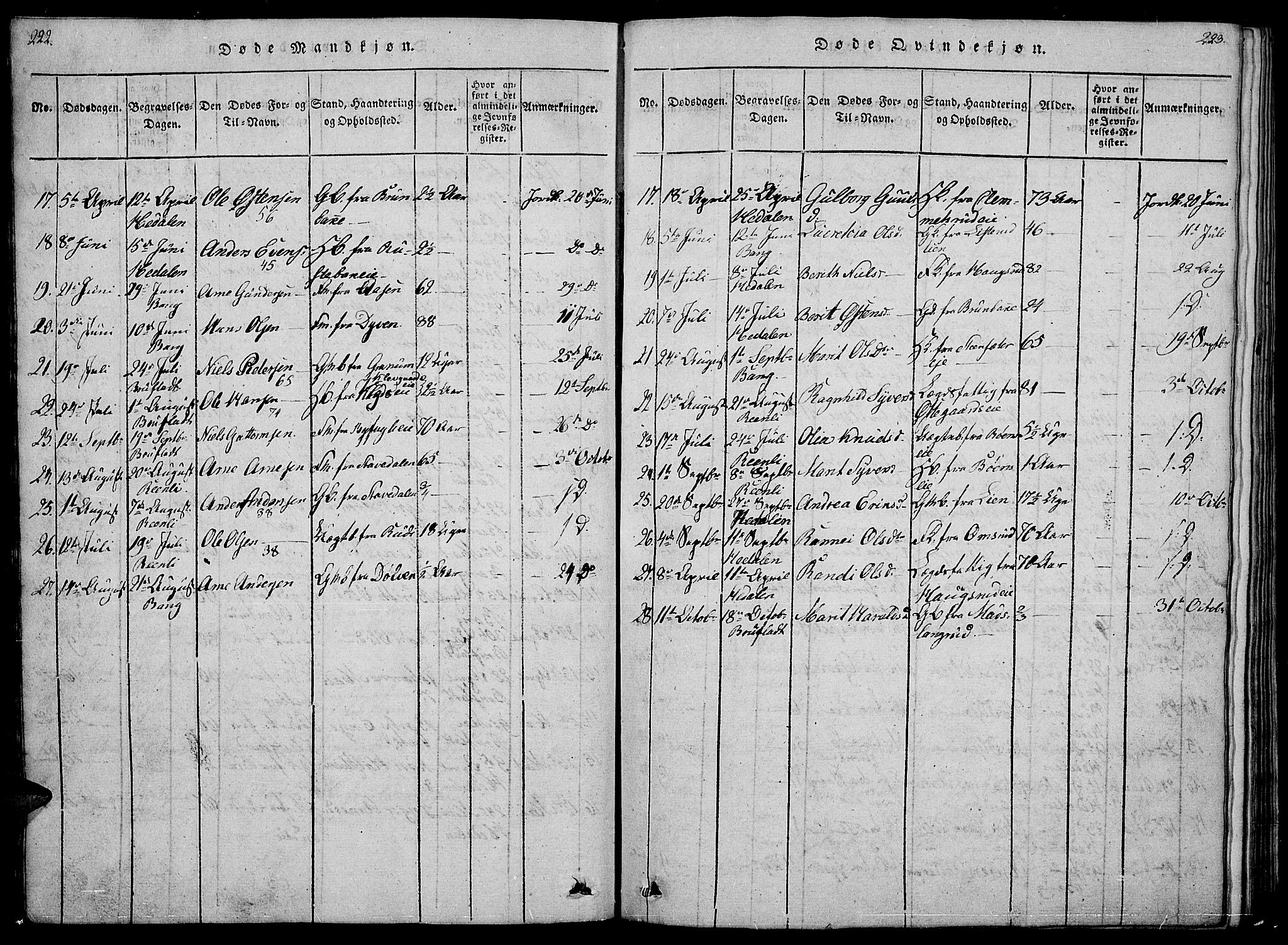Sør-Aurdal prestekontor, SAH/PREST-128/H/Ha/Hab/L0001: Parish register (copy) no. 1, 1815-1826, p. 222-223