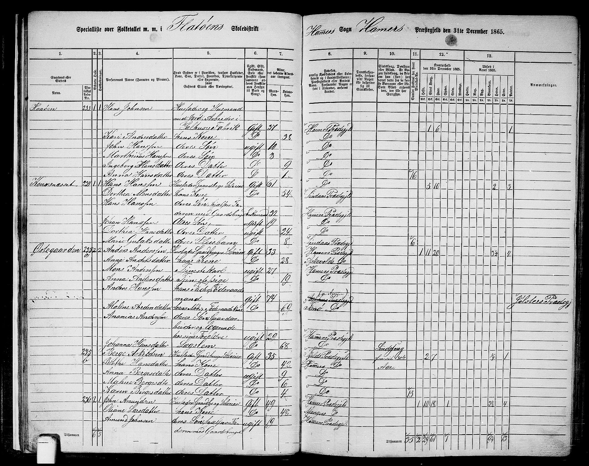 RA, 1865 census for Hamre, 1865, p. 20