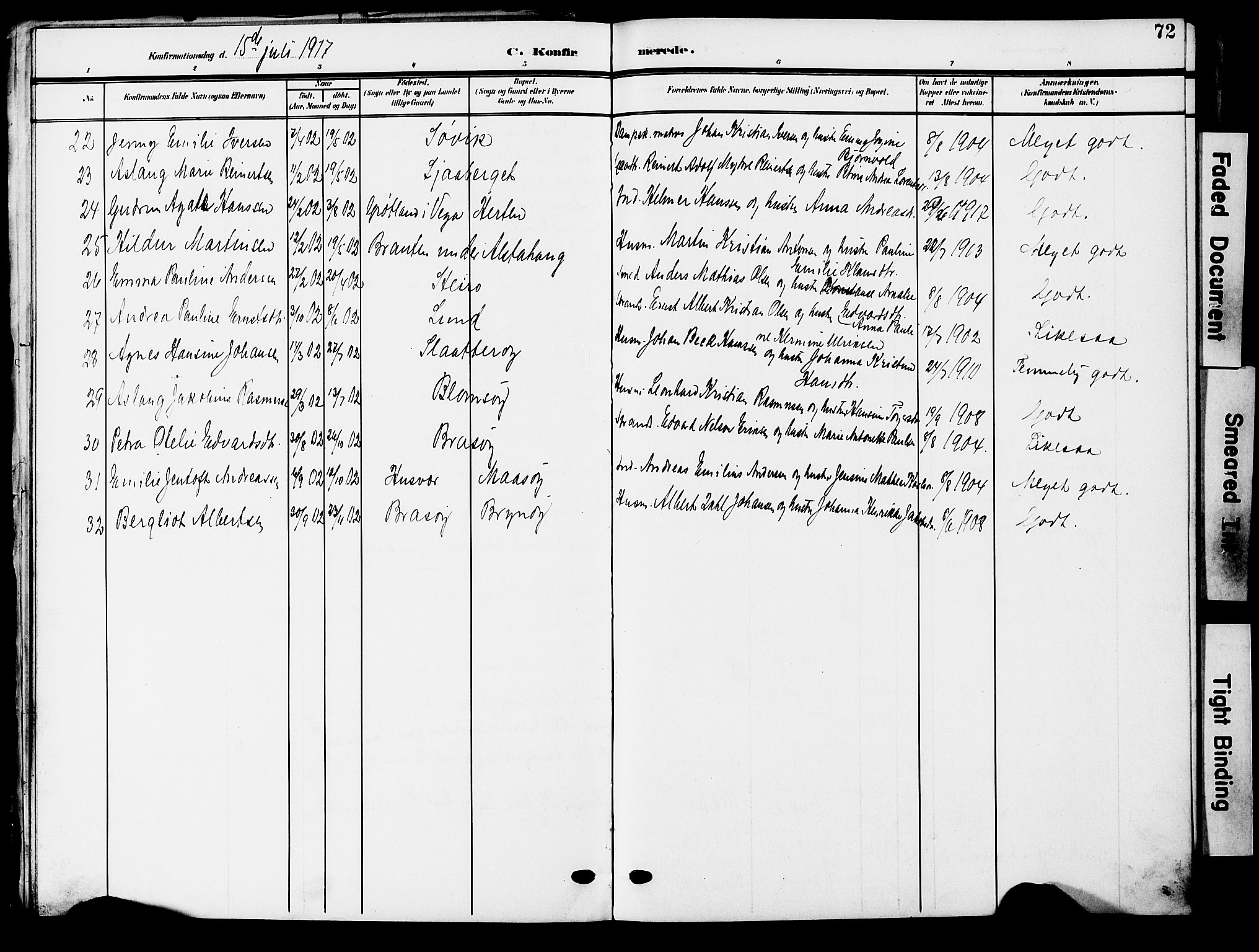 Ministerialprotokoller, klokkerbøker og fødselsregistre - Nordland, AV/SAT-A-1459/830/L0464: Parish register (copy) no. 830C06, 1906-1925, p. 72