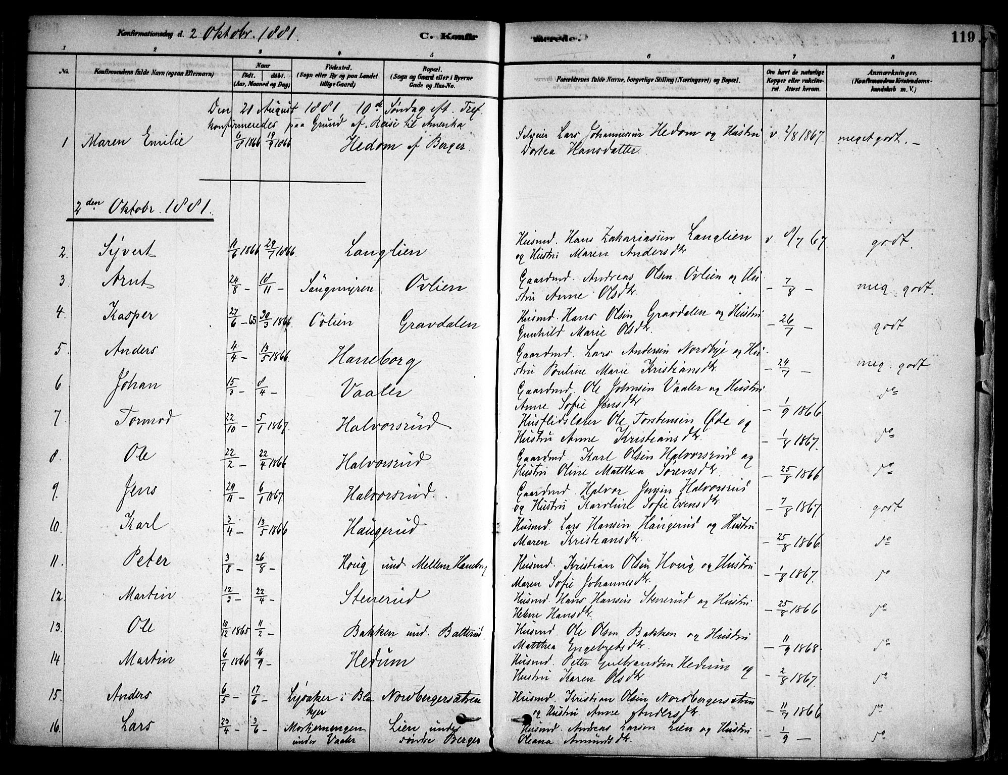 Aurskog prestekontor Kirkebøker, SAO/A-10304a/F/Fa/L0008: Parish register (official) no. I 8, 1878-1937, p. 119