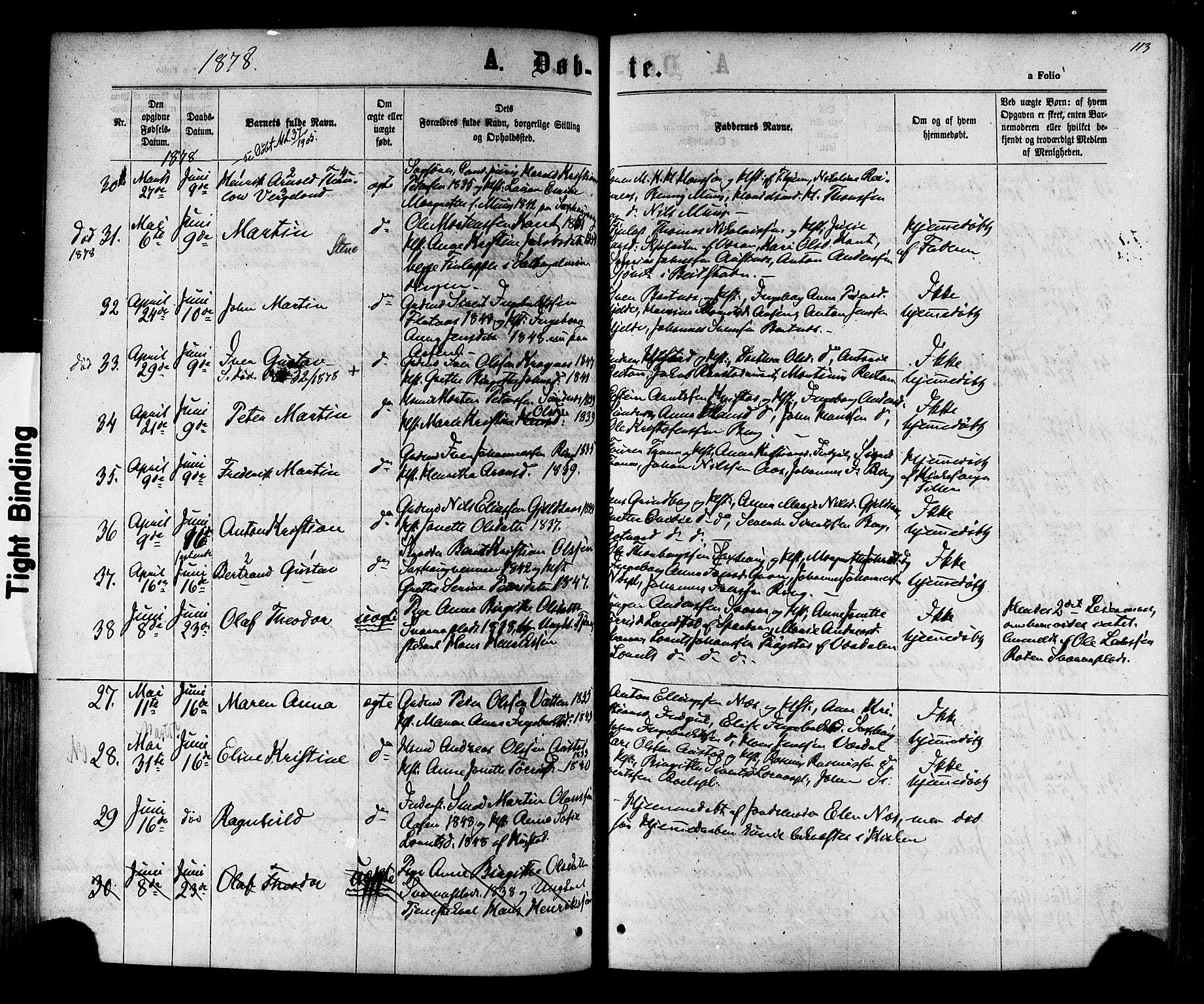 Ministerialprotokoller, klokkerbøker og fødselsregistre - Nord-Trøndelag, SAT/A-1458/730/L0284: Parish register (official) no. 730A09, 1866-1878, p. 113