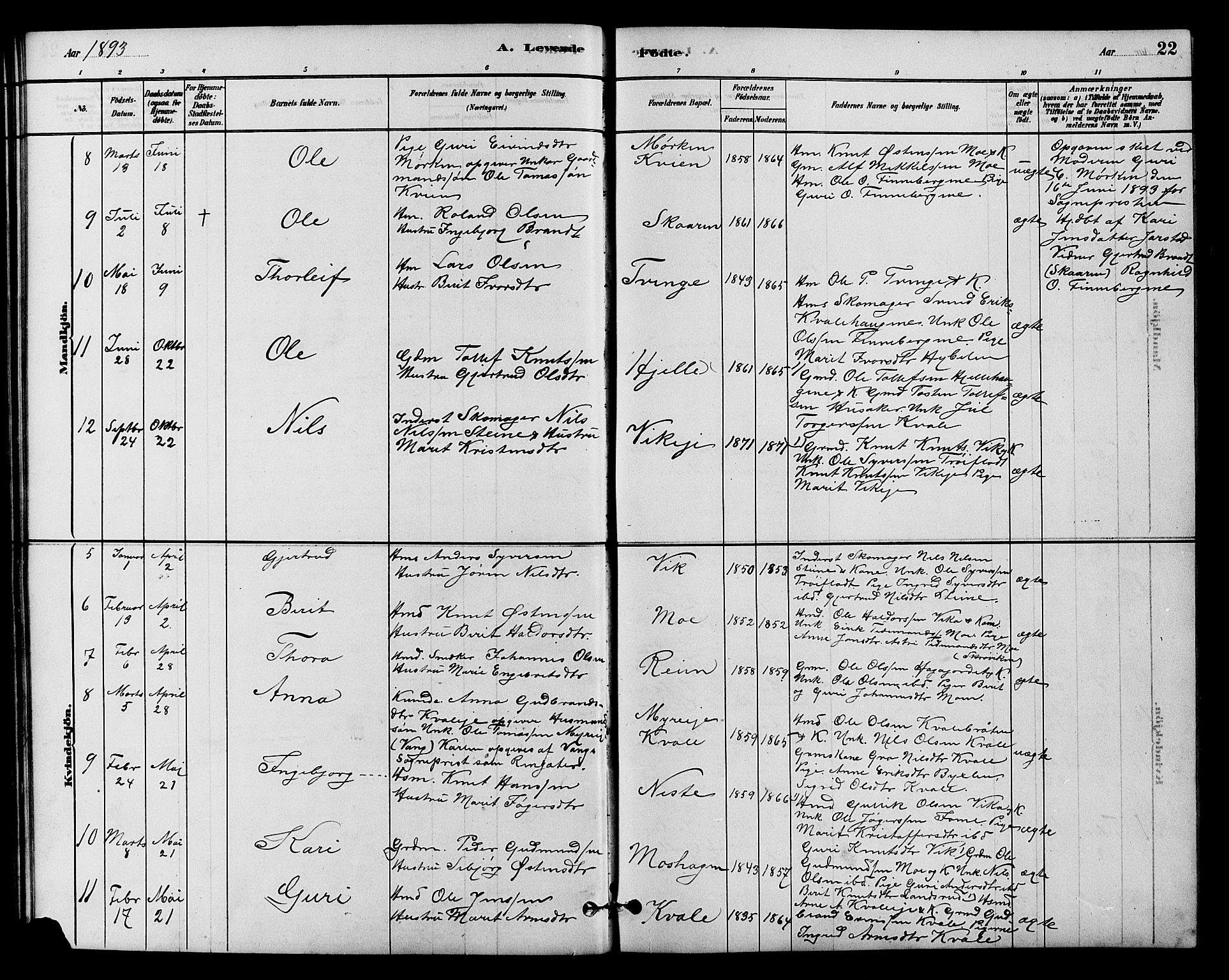 Vestre Slidre prestekontor, SAH/PREST-136/H/Ha/Hab/L0004: Parish register (copy) no. 4, 1881-1912, p. 22