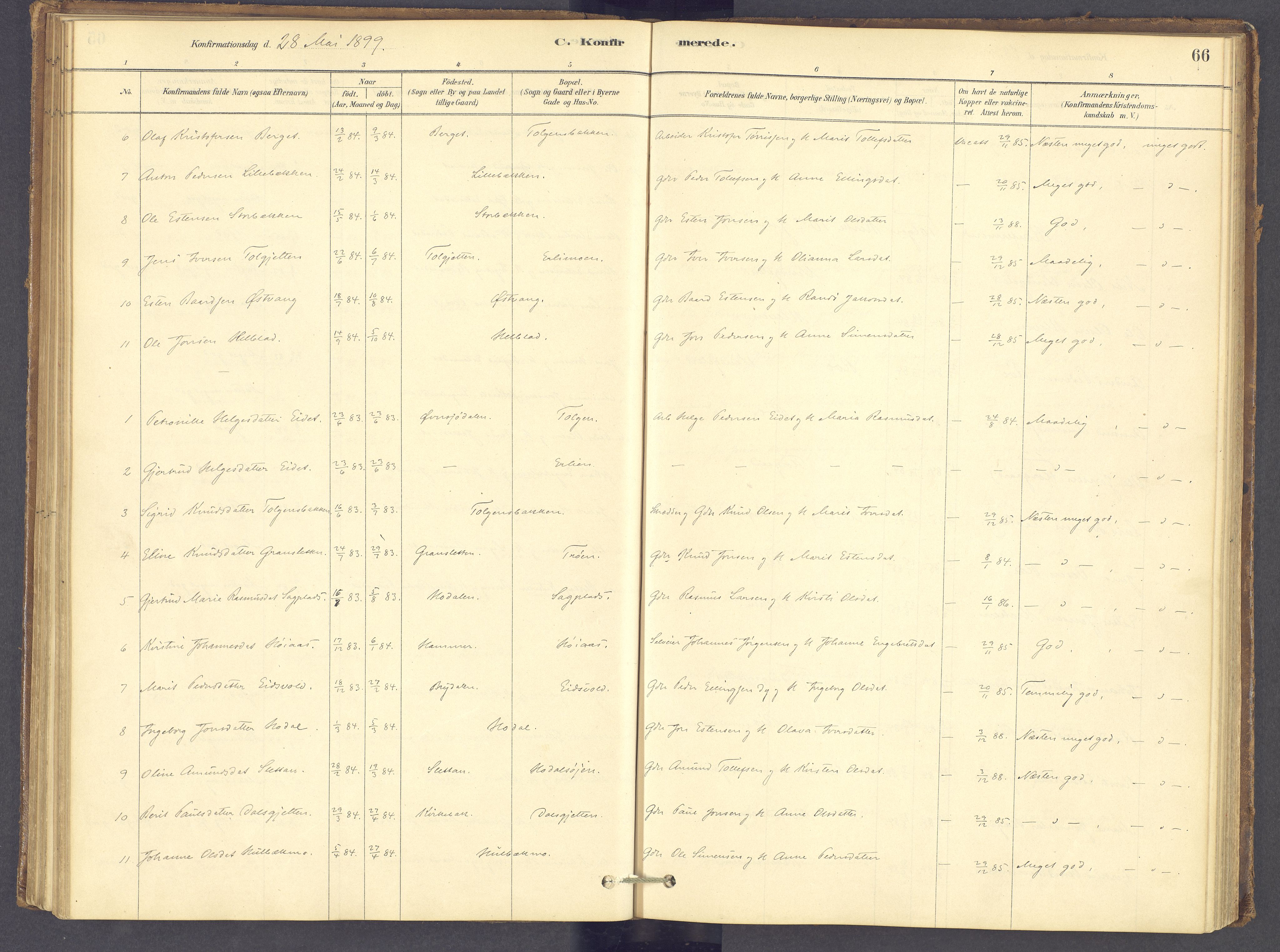 Tolga prestekontor, SAH/PREST-062/K/L0012: Parish register (official) no. 12, 1877-1925, p. 66