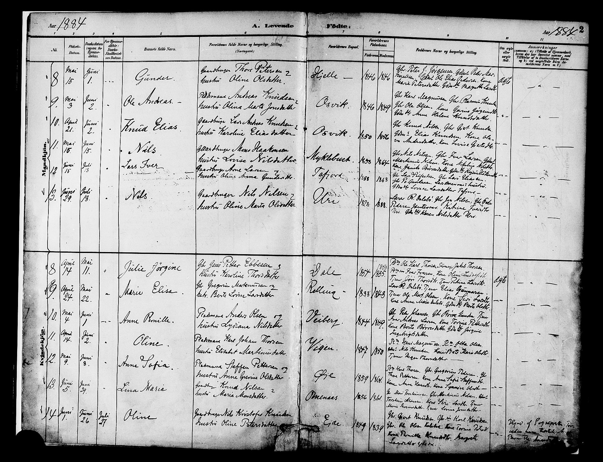 Ministerialprotokoller, klokkerbøker og fødselsregistre - Møre og Romsdal, AV/SAT-A-1454/519/L0255: Parish register (official) no. 519A14, 1884-1908, p. 2