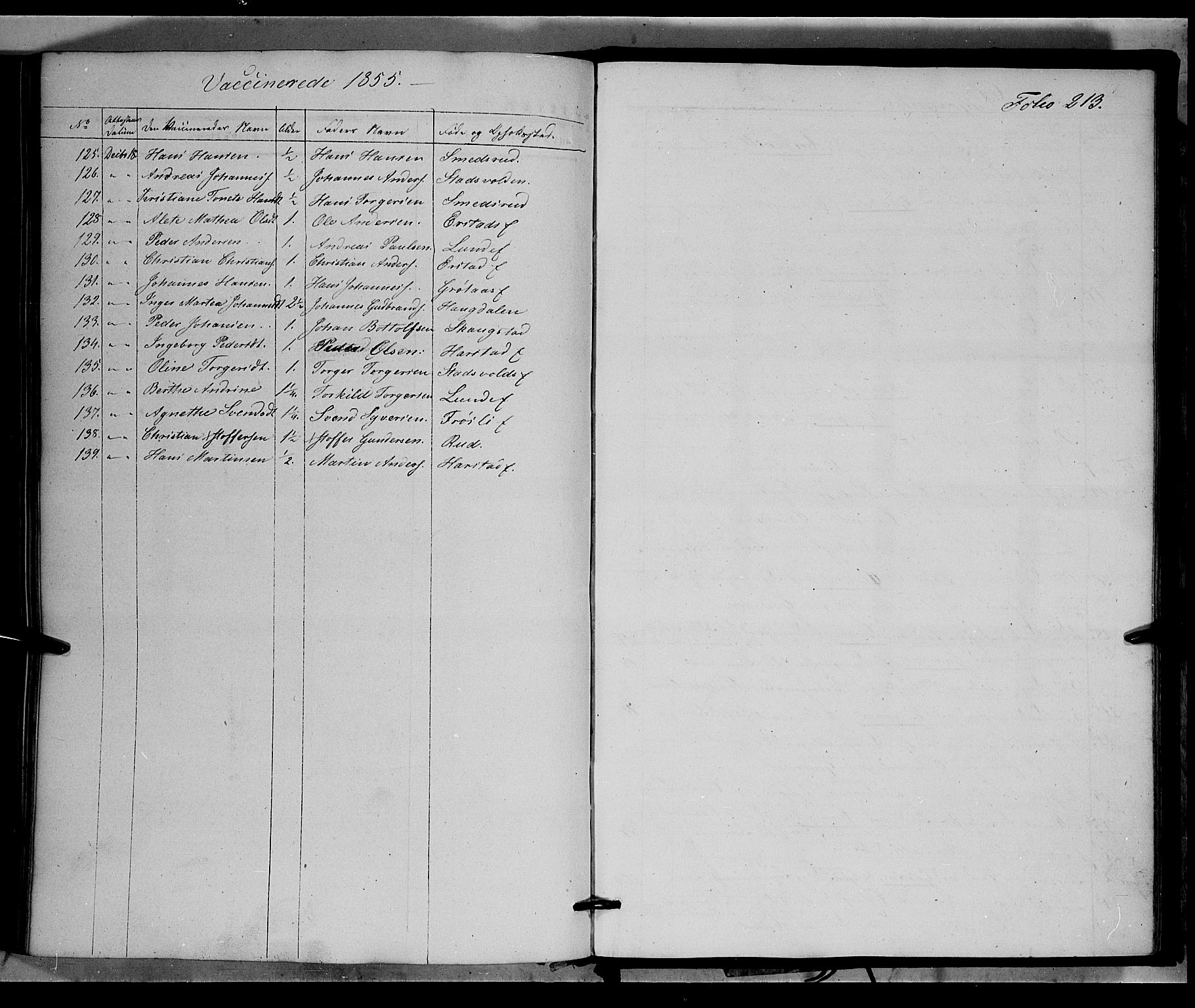 Land prestekontor, SAH/PREST-120/H/Ha/Haa/L0010: Parish register (official) no. 10, 1847-1859, p. 213