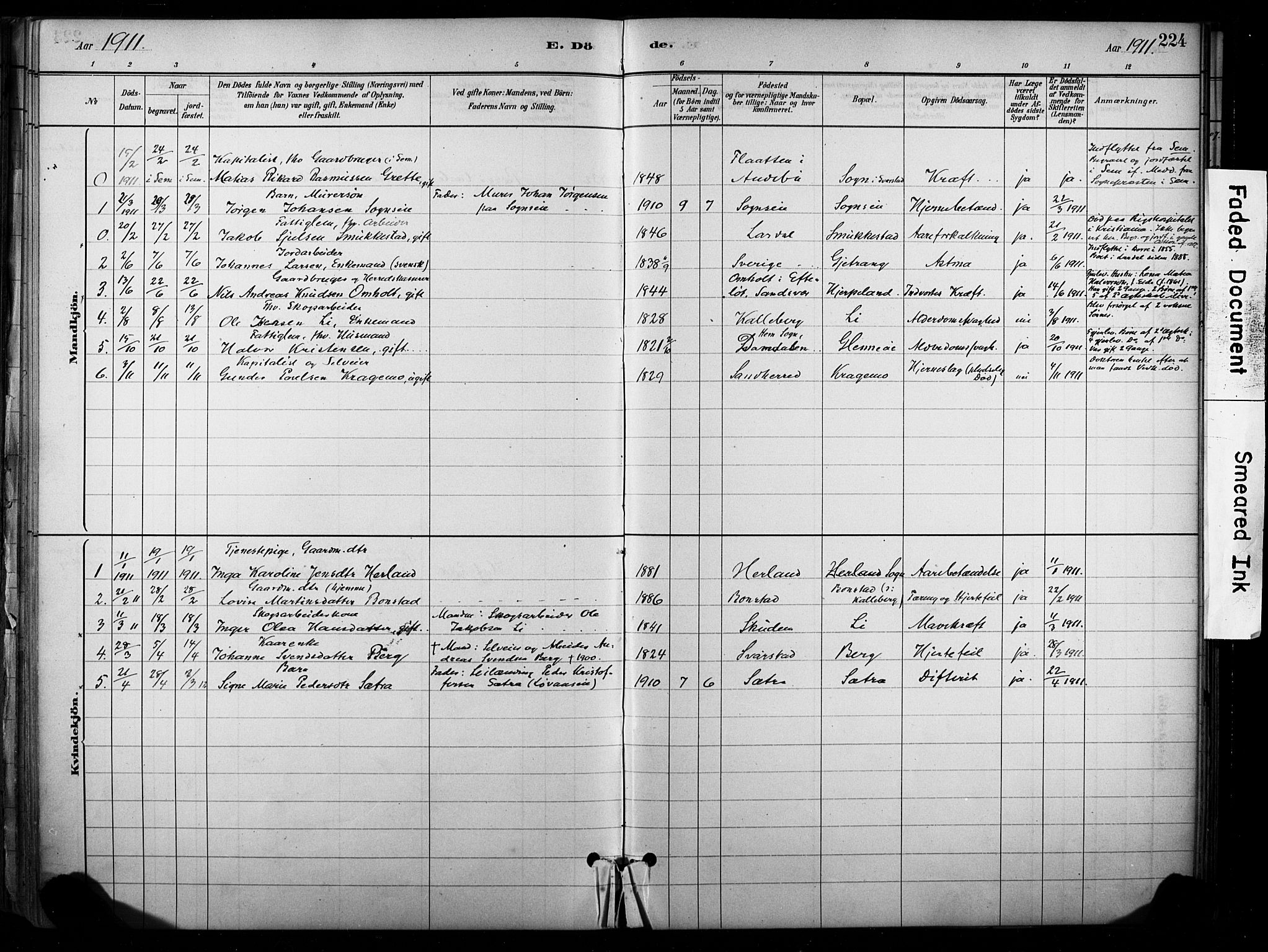 Lardal kirkebøker, SAKO/A-350/F/Fb/L0001: Parish register (official) no. II 1, 1881-1911, p. 224