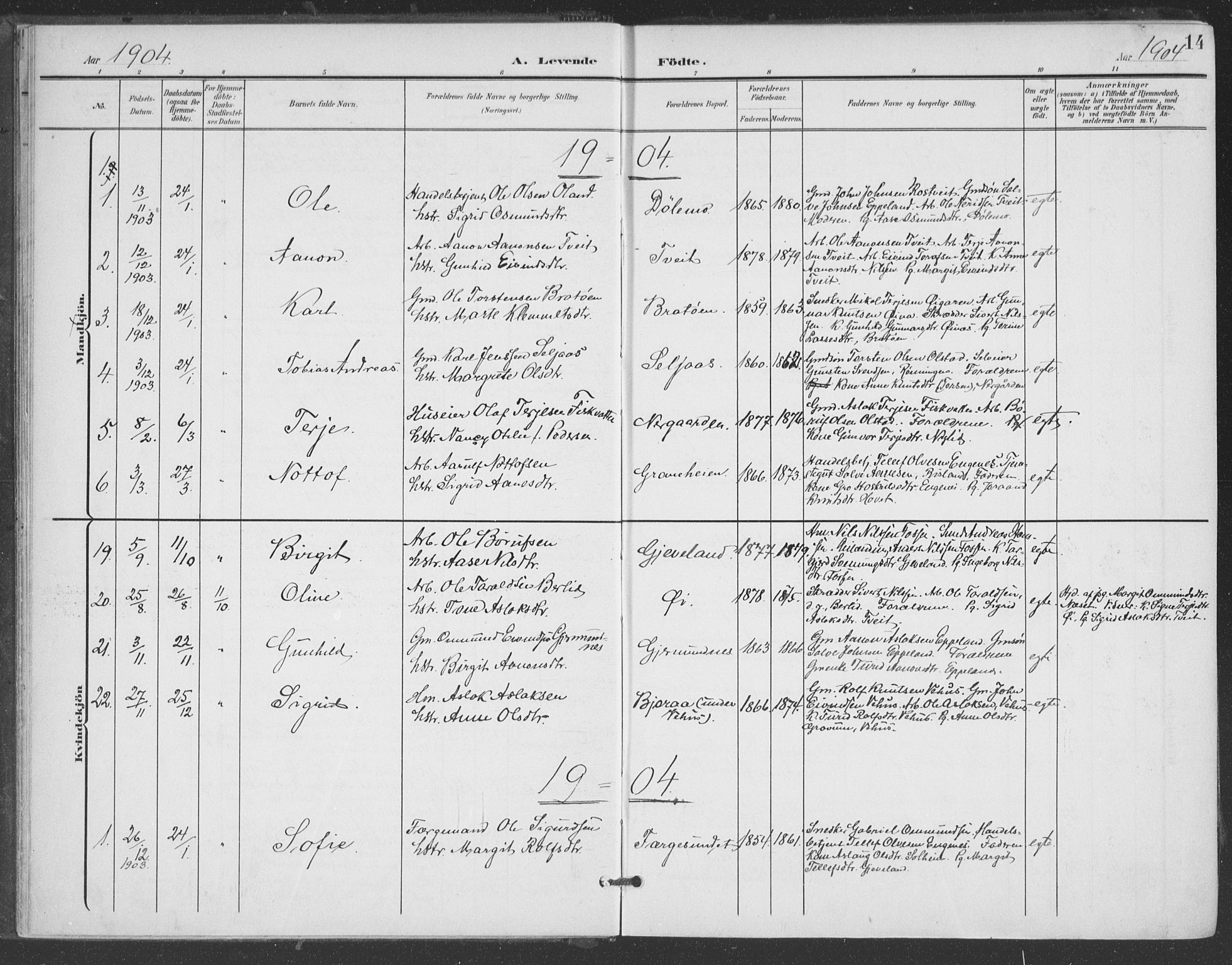 Åmli sokneprestkontor, AV/SAK-1111-0050/F/Fa/Fac/L0012: Parish register (official) no. A 12, 1900-1914, p. 14