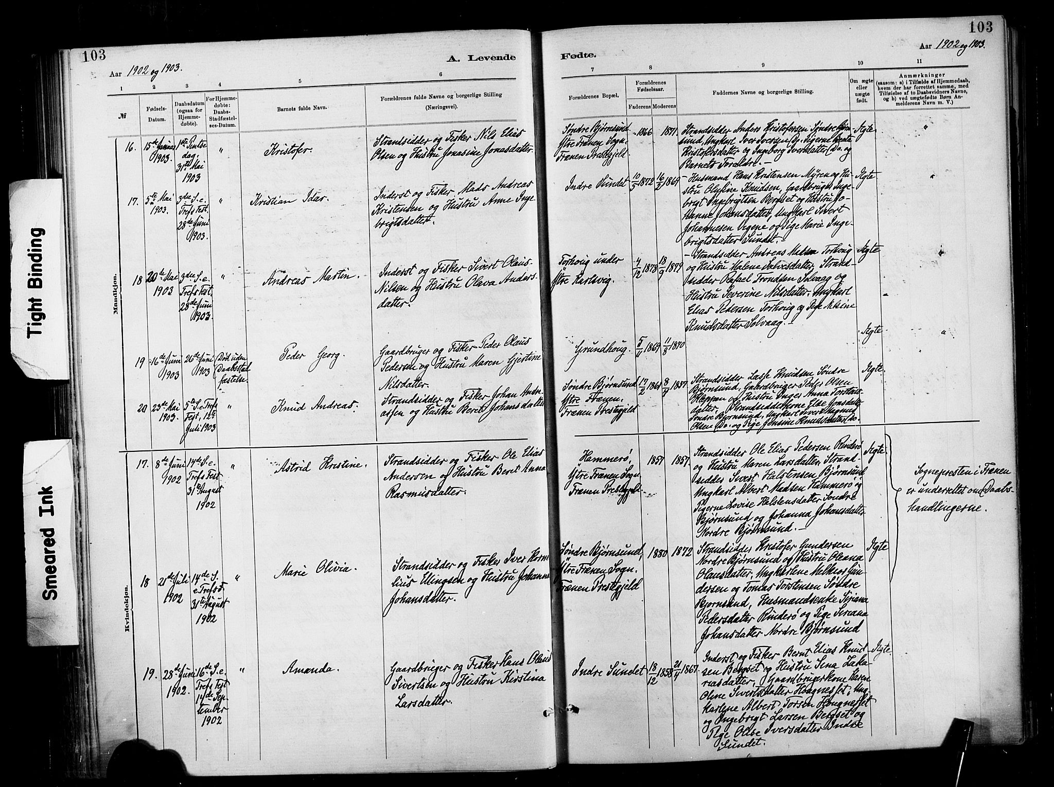 Ministerialprotokoller, klokkerbøker og fødselsregistre - Møre og Romsdal, AV/SAT-A-1454/566/L0769: Parish register (official) no. 566A08, 1881-1903, p. 103