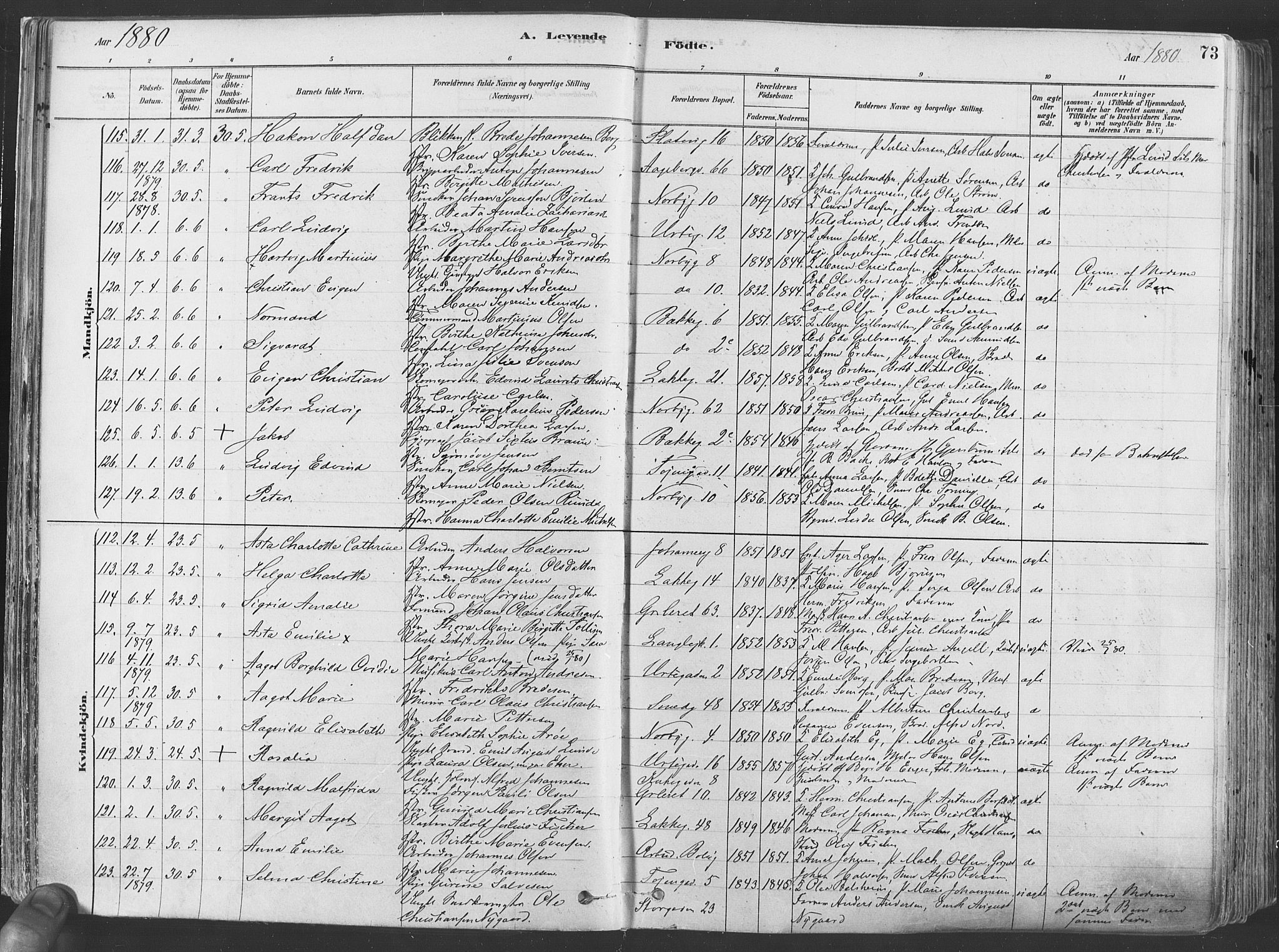 Grønland prestekontor Kirkebøker, SAO/A-10848/F/Fa/L0007: Parish register (official) no. 7, 1878-1888, p. 73