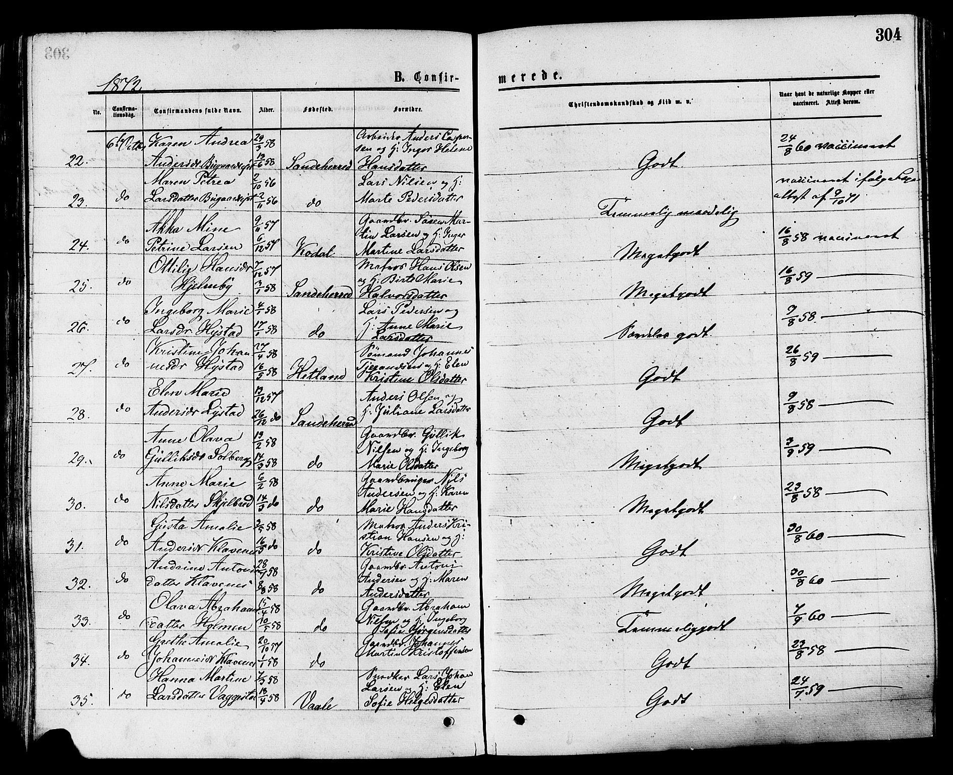 Sandar kirkebøker, SAKO/A-243/F/Fa/L0010: Parish register (official) no. 10, 1872-1882, p. 304