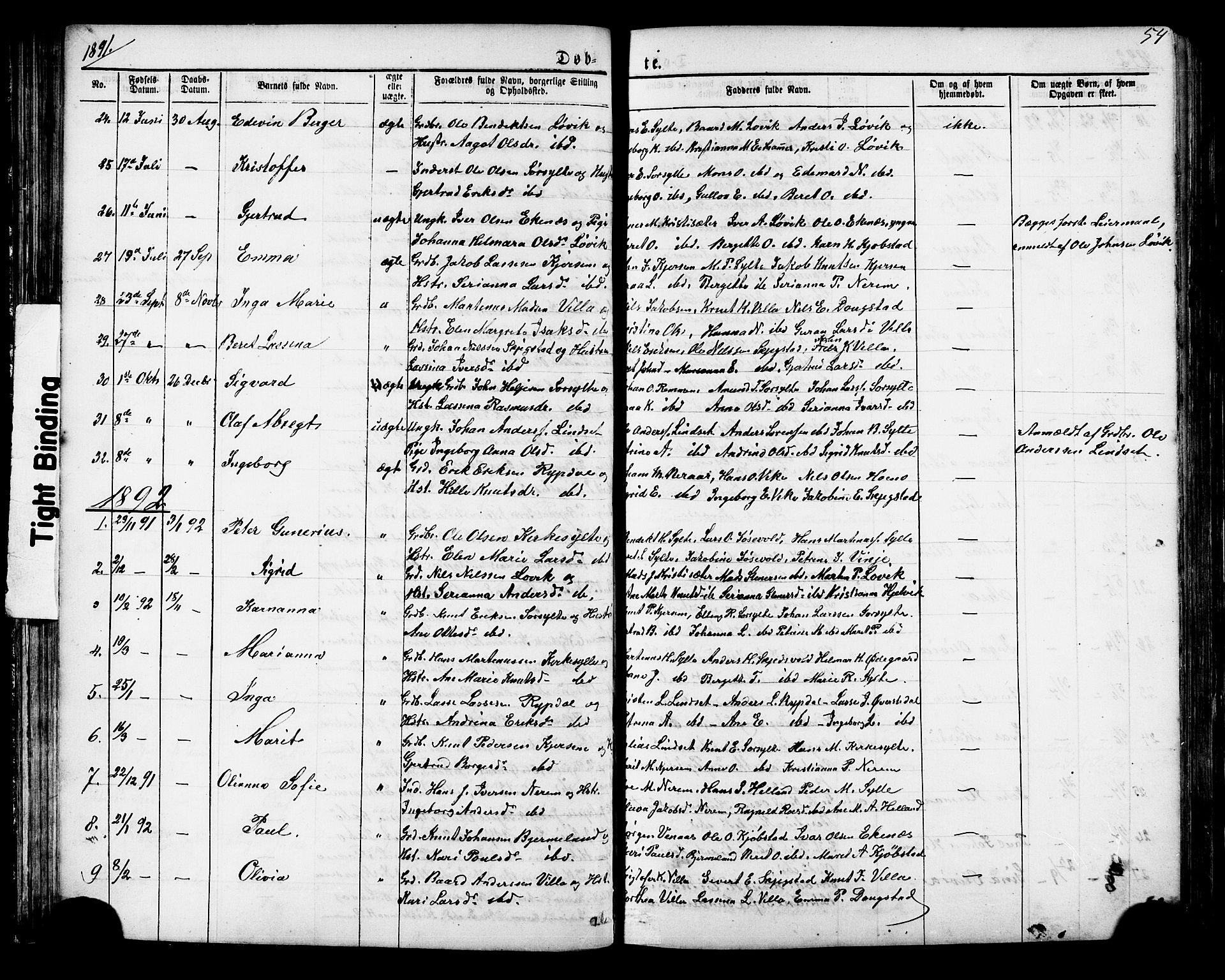 Ministerialprotokoller, klokkerbøker og fødselsregistre - Møre og Romsdal, SAT/A-1454/541/L0547: Parish register (copy) no. 541C02, 1867-1921, p. 54