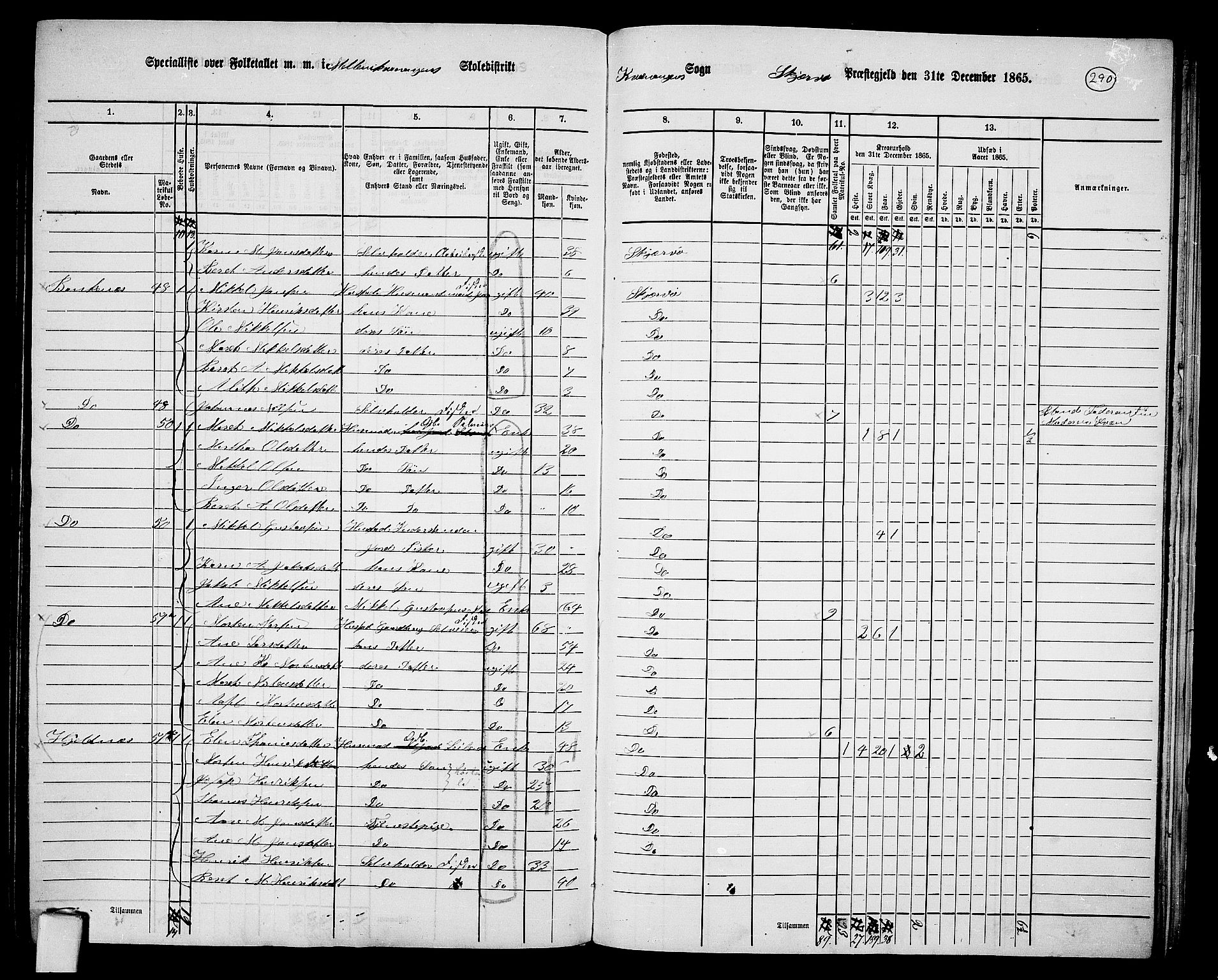 RA, 1865 census for Skjervøy, 1865, p. 164