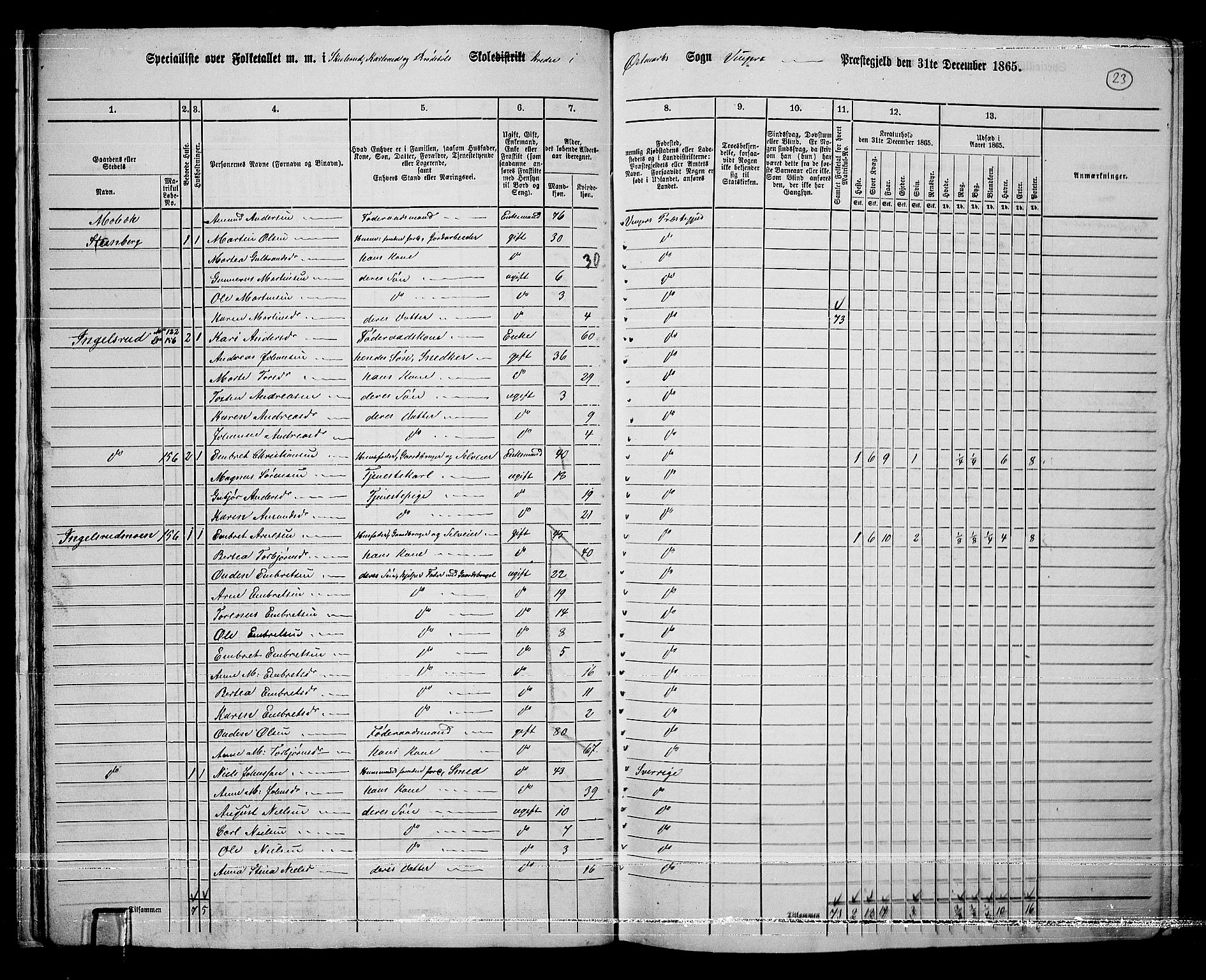 RA, 1865 census for Vinger/Vinger og Austmarka, 1865, p. 21