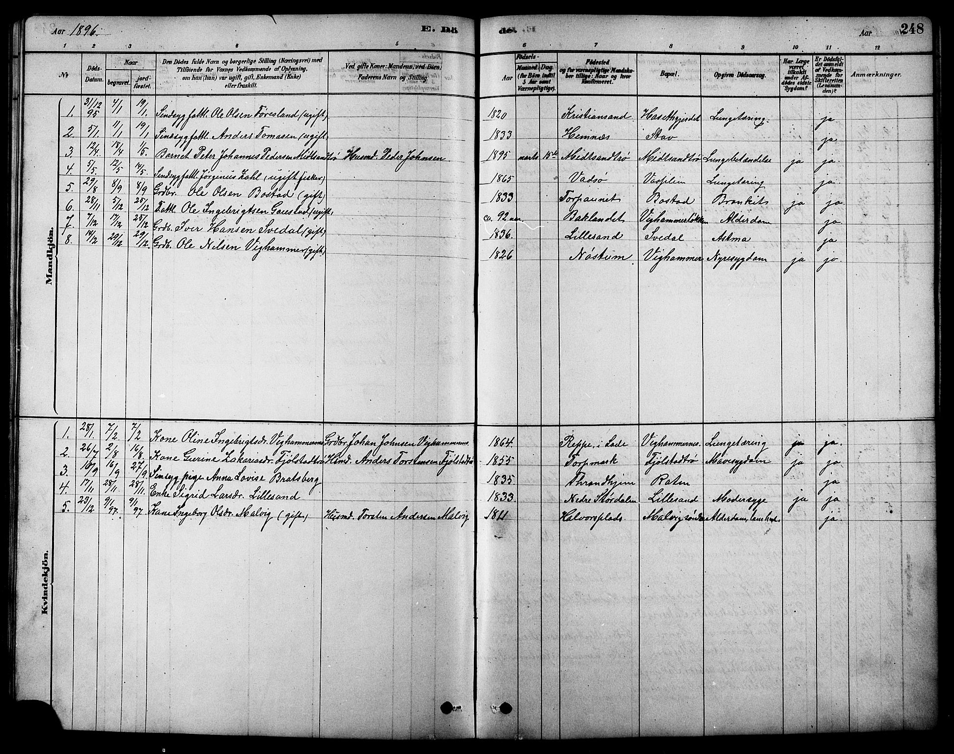 Ministerialprotokoller, klokkerbøker og fødselsregistre - Sør-Trøndelag, SAT/A-1456/616/L0423: Parish register (copy) no. 616C06, 1878-1903, p. 248