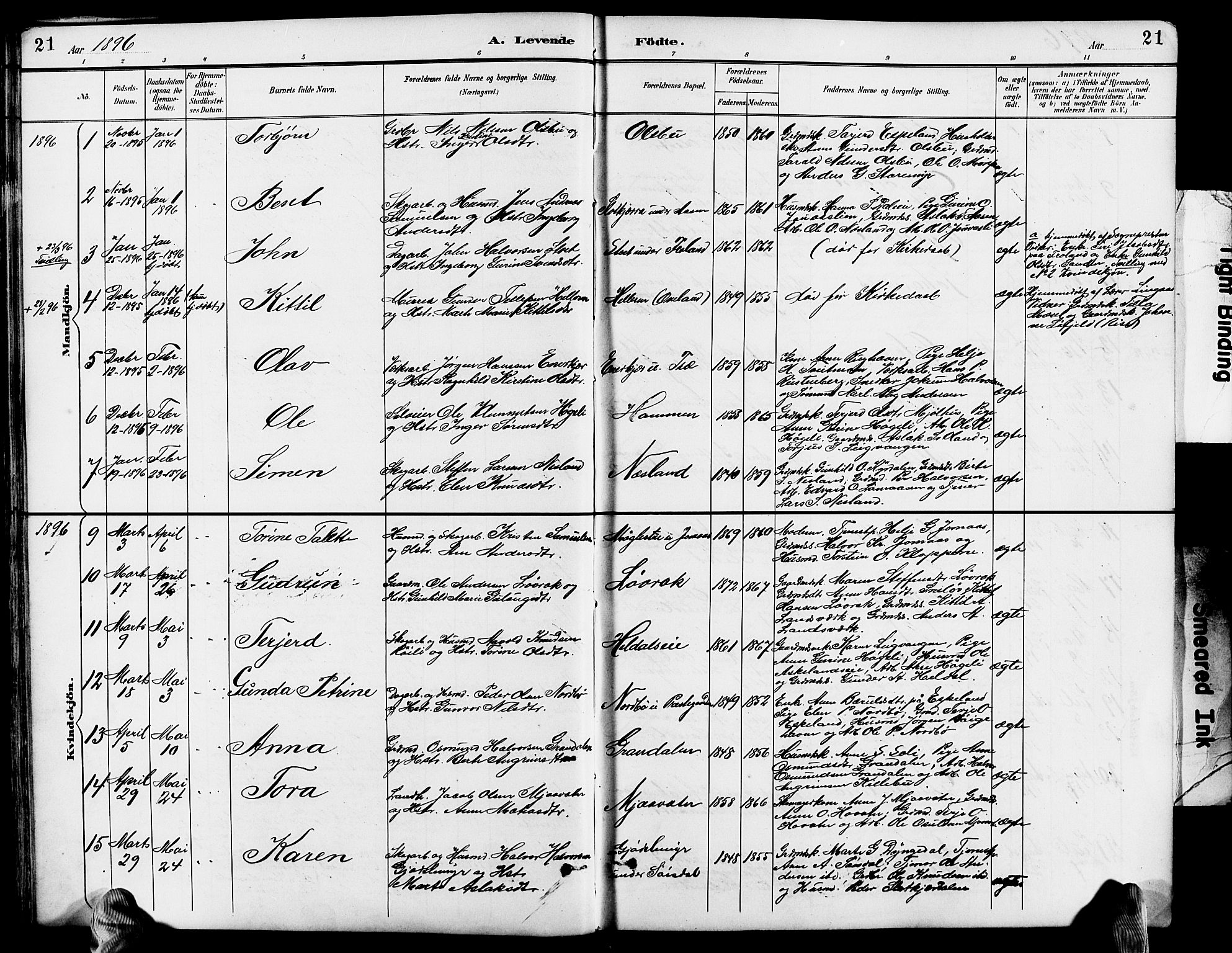 Froland sokneprestkontor, AV/SAK-1111-0013/F/Fb/L0010: Parish register (copy) no. B 10, 1893-1920, p. 21