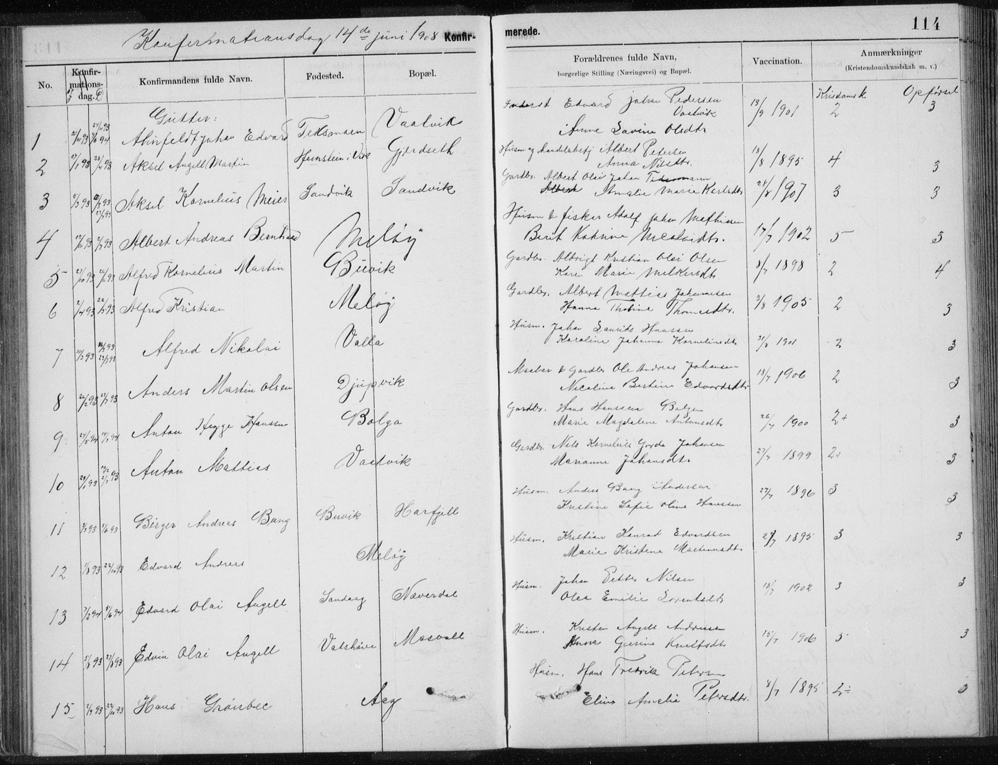 Ministerialprotokoller, klokkerbøker og fødselsregistre - Nordland, SAT/A-1459/843/L0637: Parish register (copy) no. 843C06, 1884-1908, p. 114