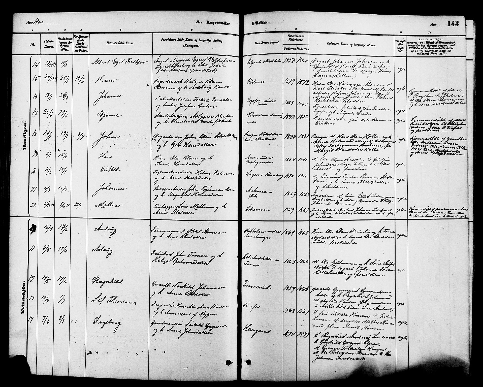 Heddal kirkebøker, AV/SAKO-A-268/G/Ga/L0002: Parish register (copy) no. I 2, 1879-1908, p. 143