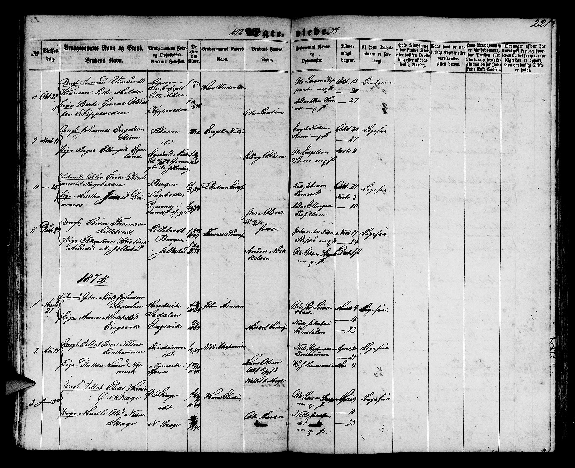 Fana Sokneprestembete, SAB/A-75101/H/Hab/Habb/L0003: Parish register (copy) no. B 3, 1861-1888, p. 221