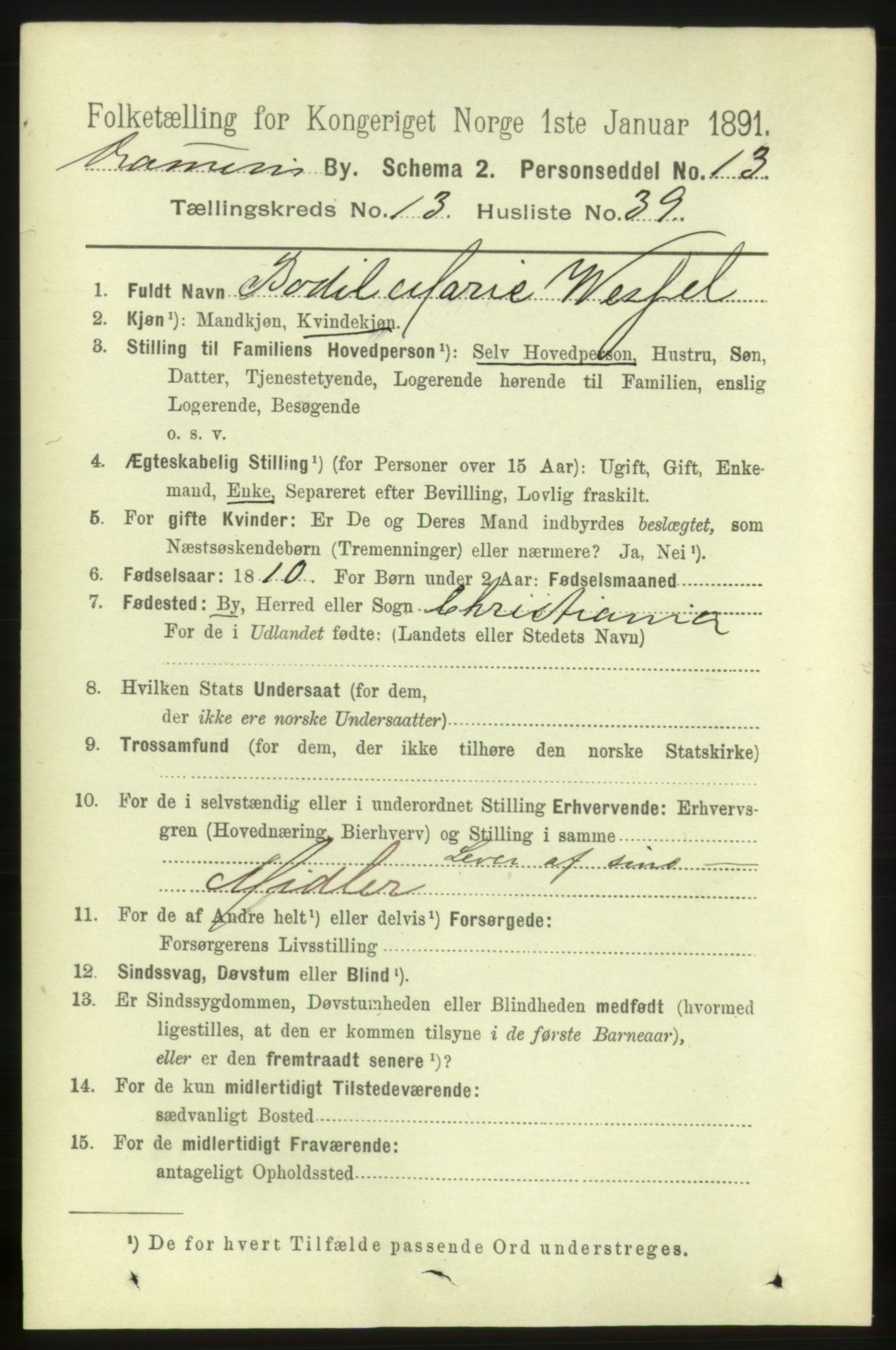 RA, 1891 census for 0602 Drammen, 1891, p. 10050