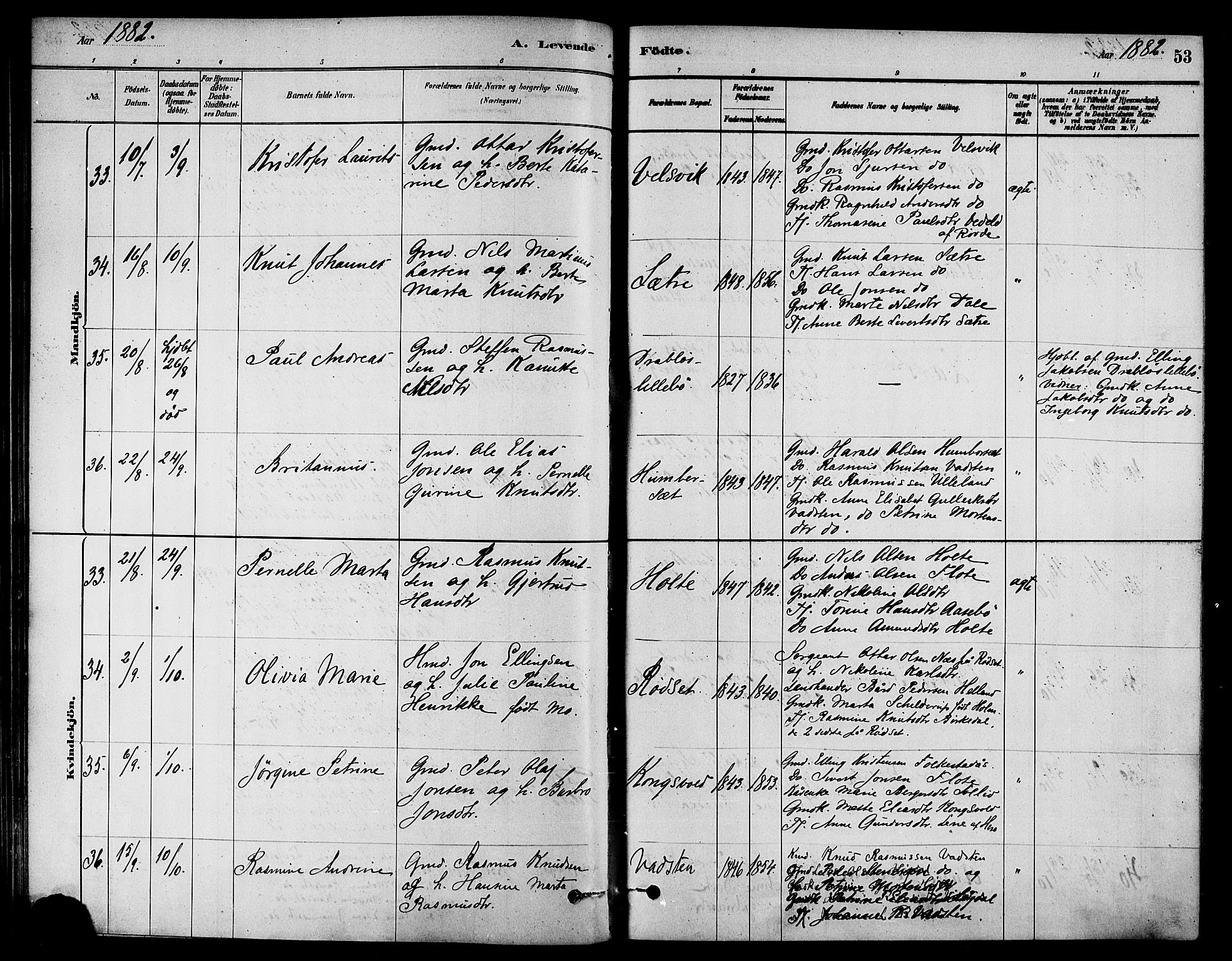 Ministerialprotokoller, klokkerbøker og fødselsregistre - Møre og Romsdal, AV/SAT-A-1454/511/L0141: Parish register (official) no. 511A08, 1878-1890, p. 53