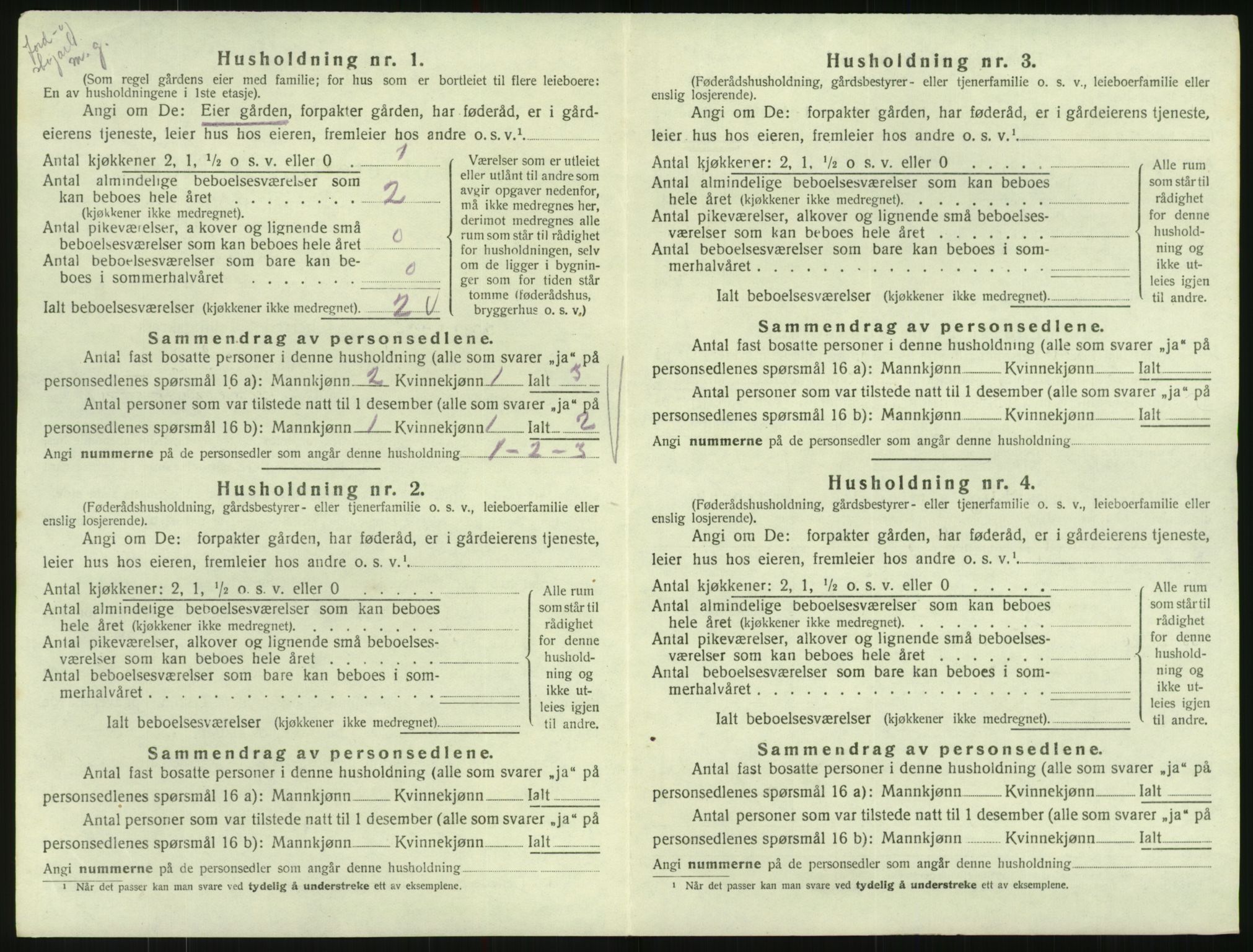 SAK, 1920 census for Hornnes, 1920, p. 68