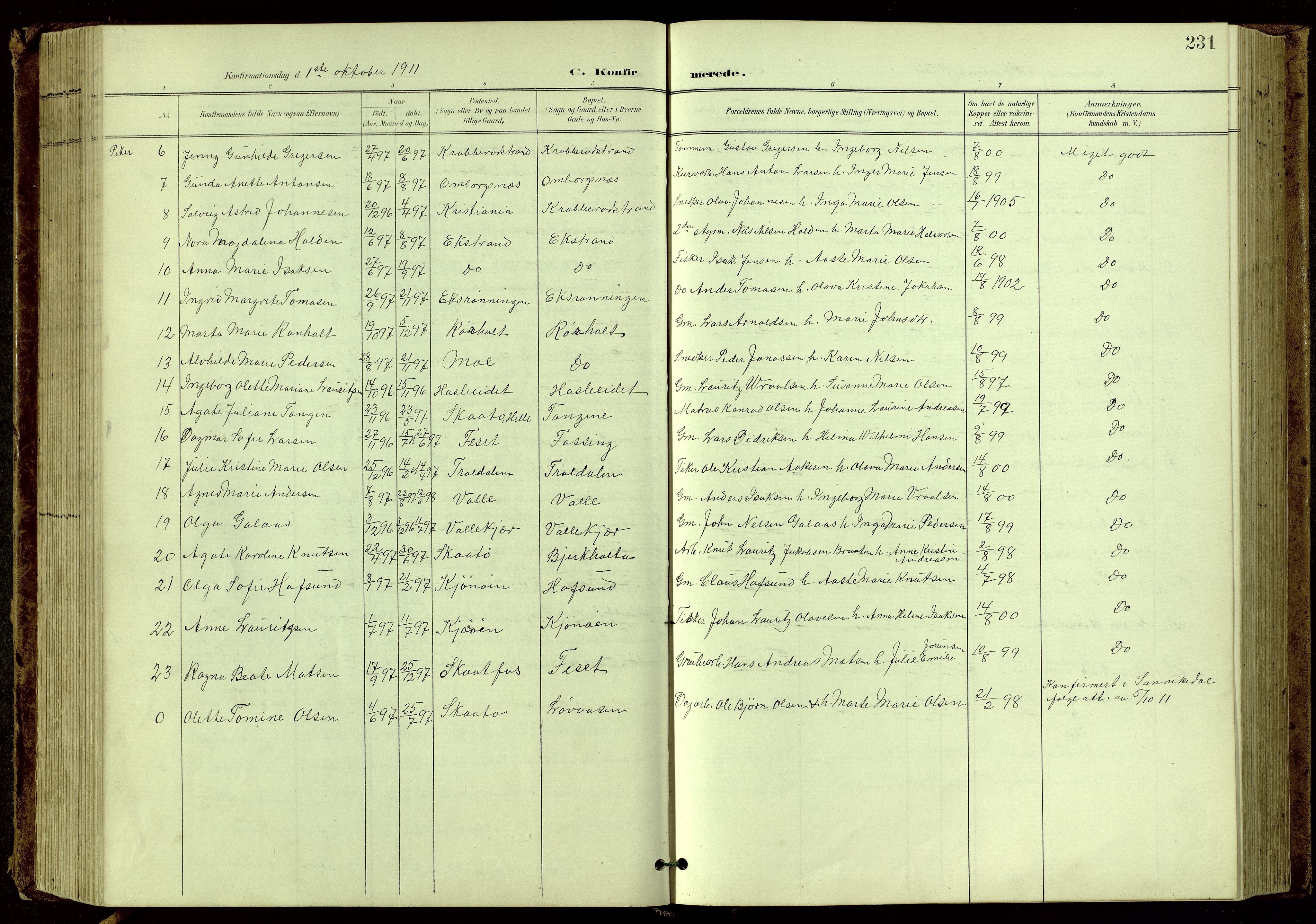 Bamble kirkebøker, SAKO/A-253/G/Ga/L0010: Parish register (copy) no. I 10, 1901-1919, p. 231