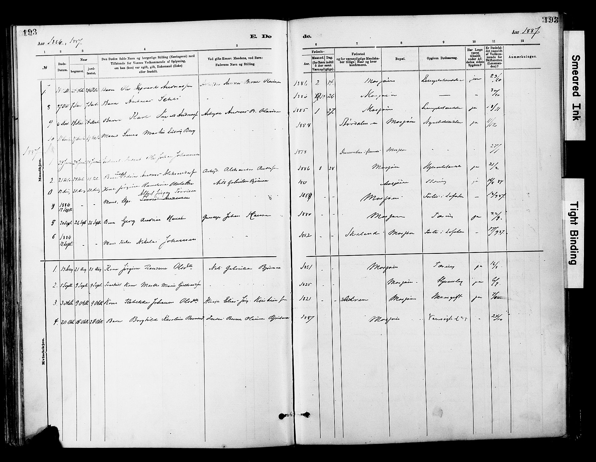 Ministerialprotokoller, klokkerbøker og fødselsregistre - Nordland, AV/SAT-A-1459/820/L0296: Parish register (official) no. 820A17, 1880-1903, p. 193