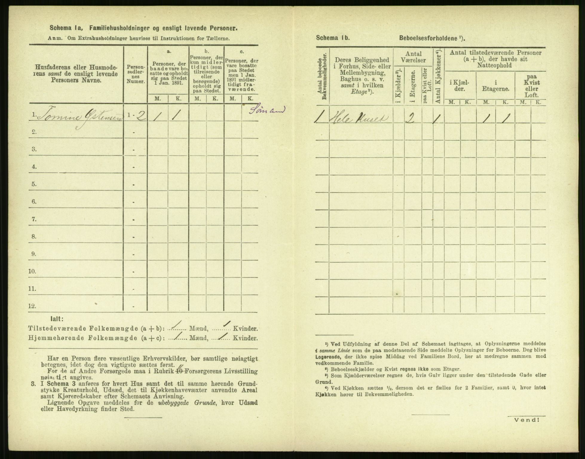 RA, 1891 census for 1104 Skudeneshavn, 1891, p. 165