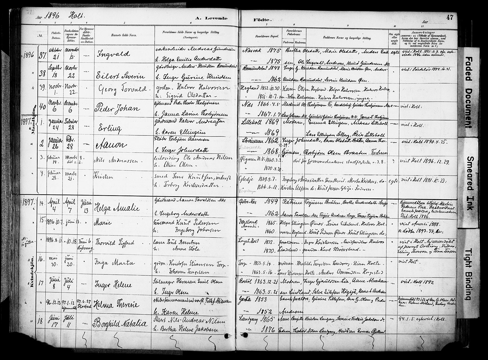 Holt sokneprestkontor, AV/SAK-1111-0021/F/Fa/L0012: Parish register (official) no. A 12, 1885-1907, p. 47