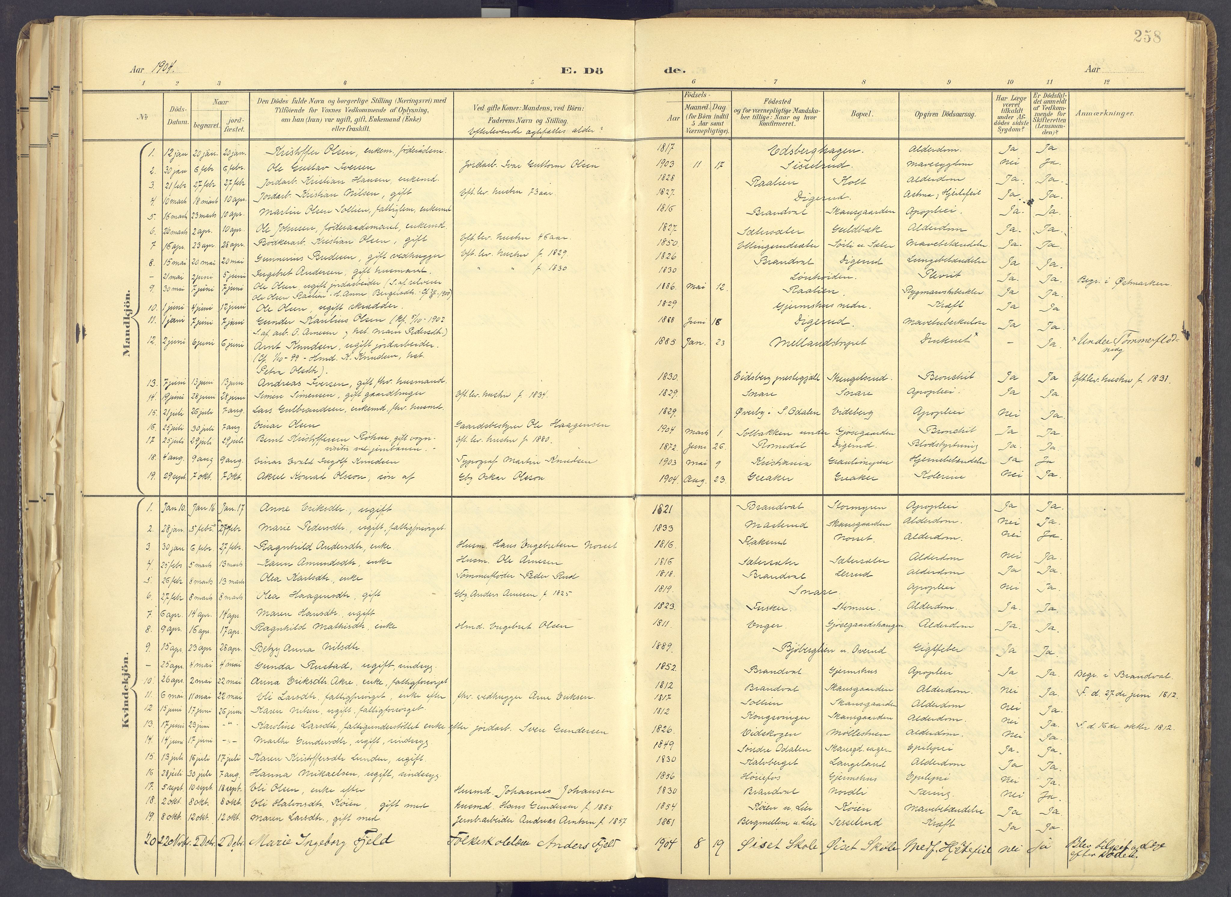 Vinger prestekontor, SAH/PREST-024/H/Ha/Haa/L0017: Parish register (official) no. 17, 1901-1927, p. 258