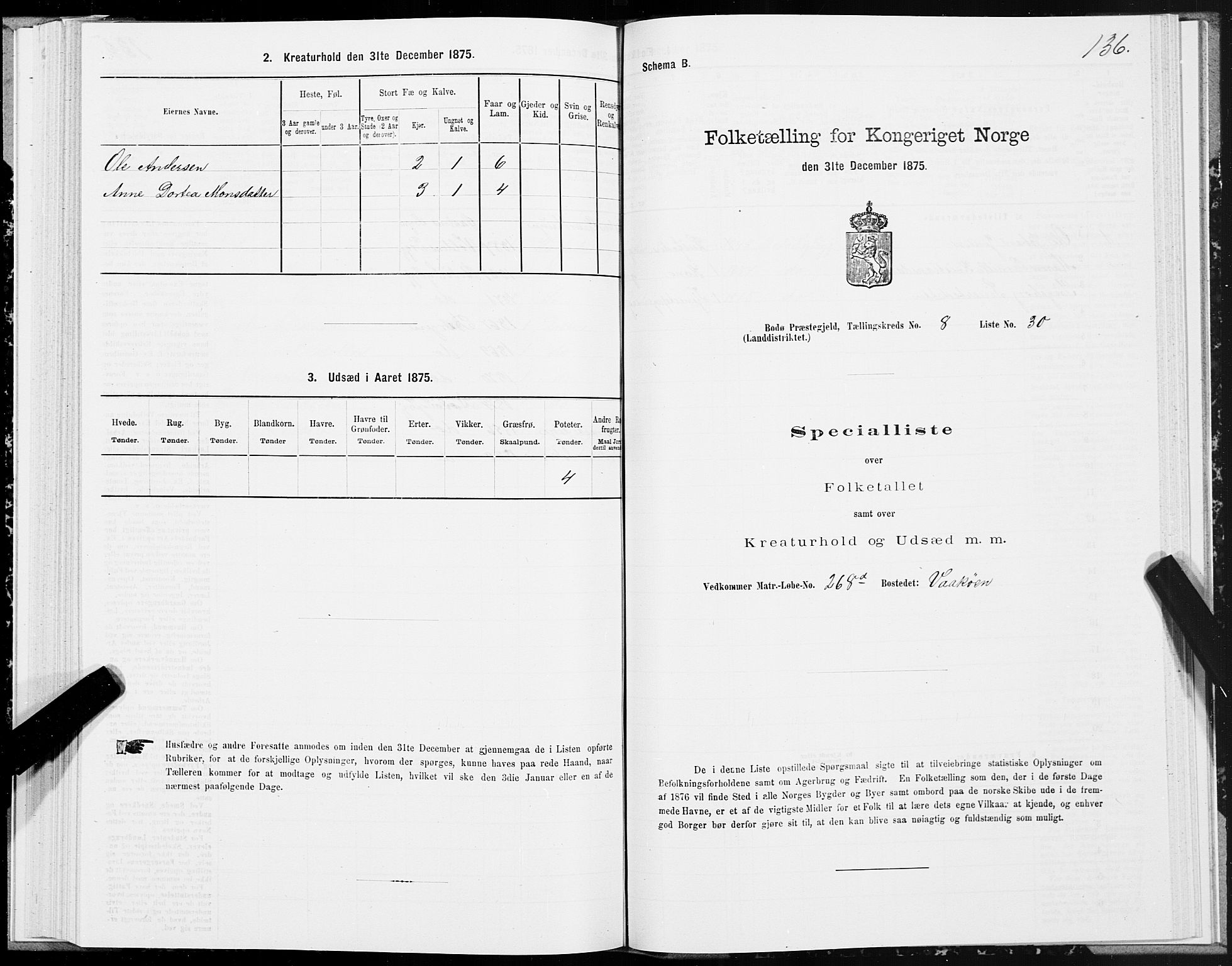 SAT, 1875 census for 1843L Bodø/Bodø, 1875, p. 4136